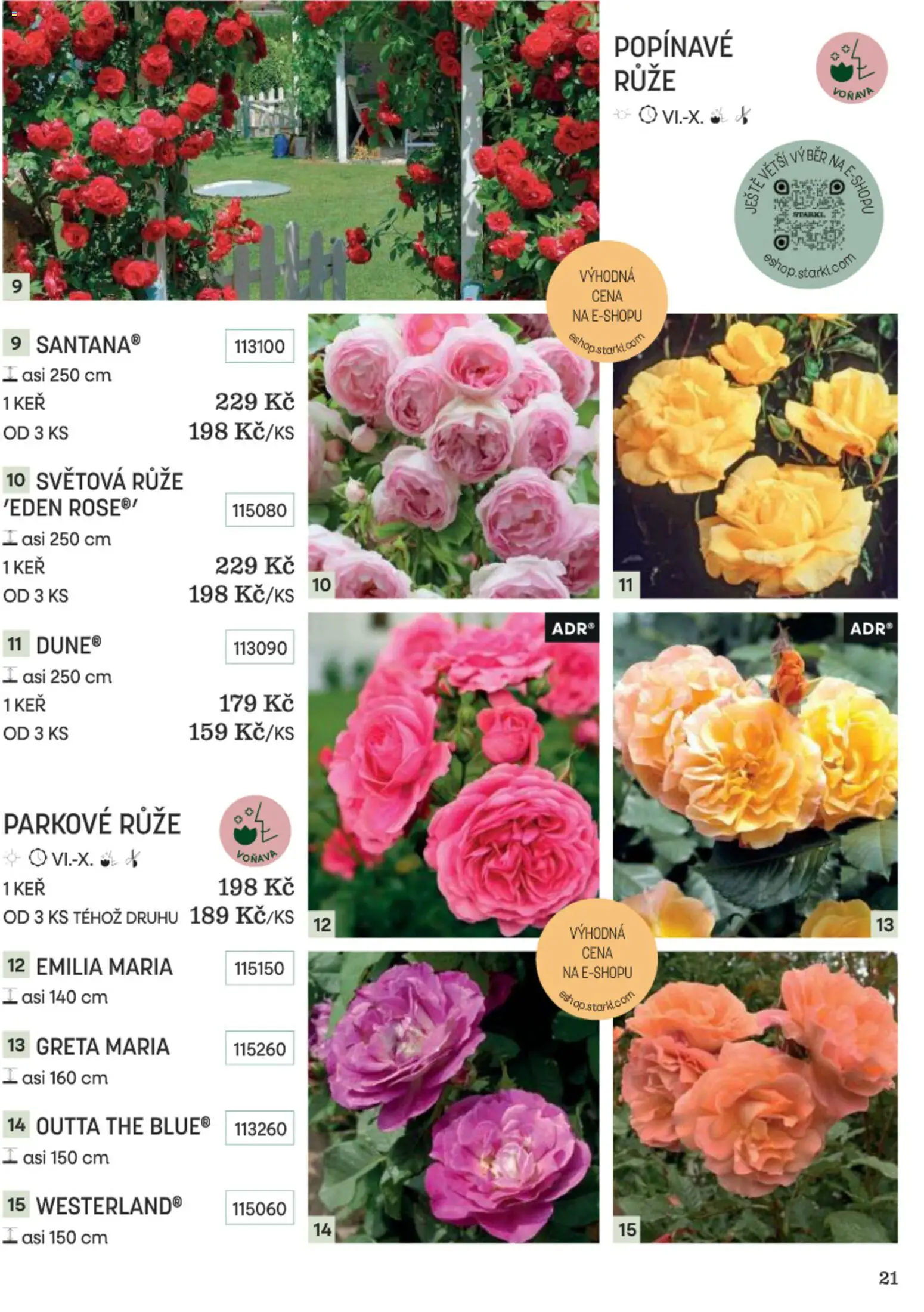 Starkl katalog Podzim 2026 od 01.09.2026 | Strana: 21