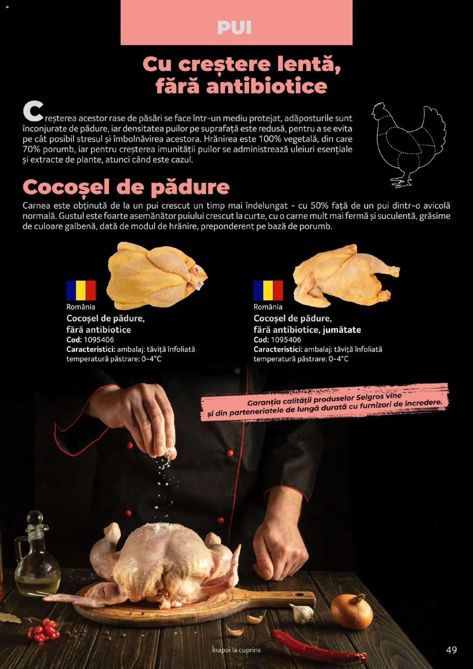 Noul catalog Selgros – valabil de la 25.03.2026 | Pagină: 49 | Produse: Pui