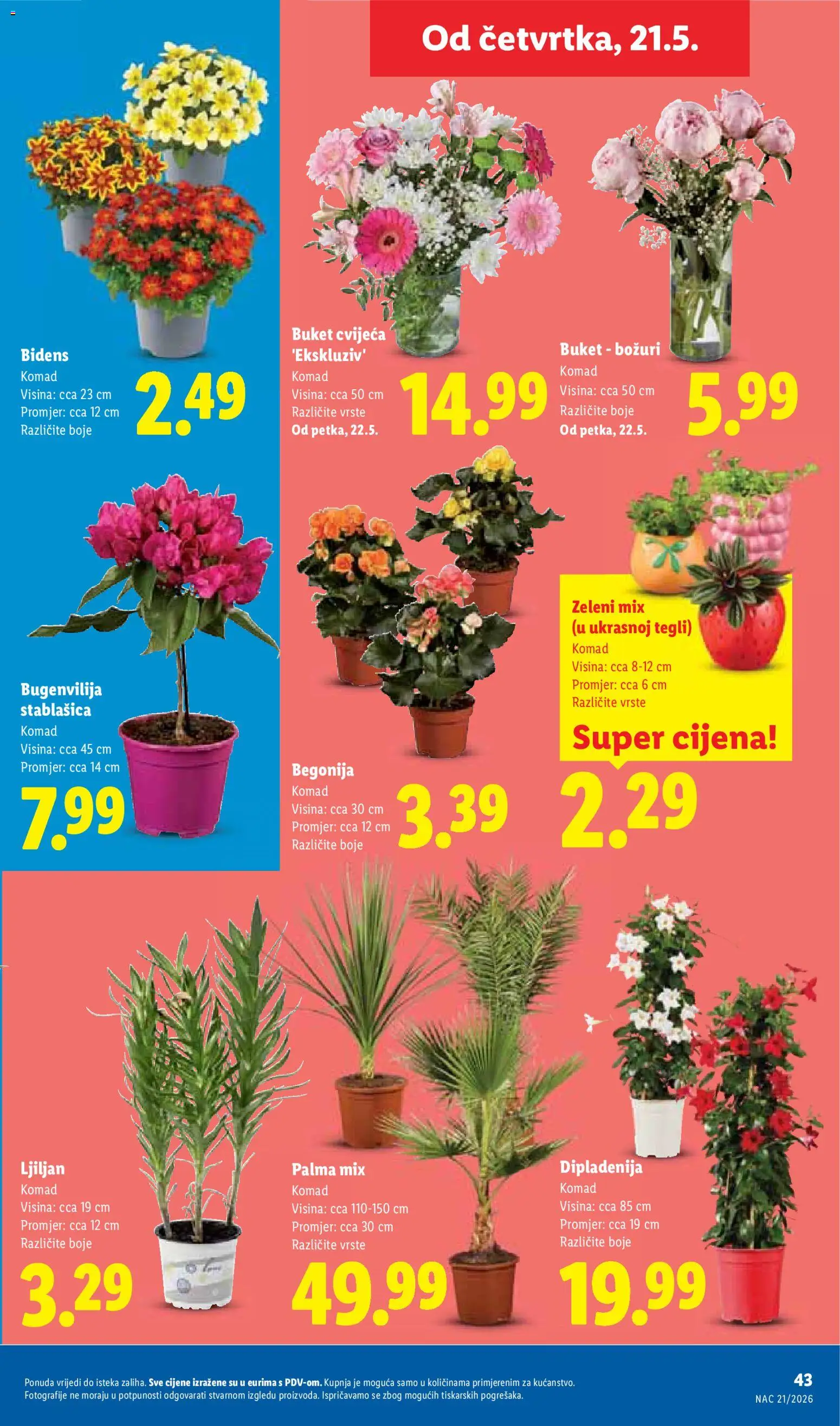 Lidl katalog | vrijedi od 18.05.2026 | Stranica: 43