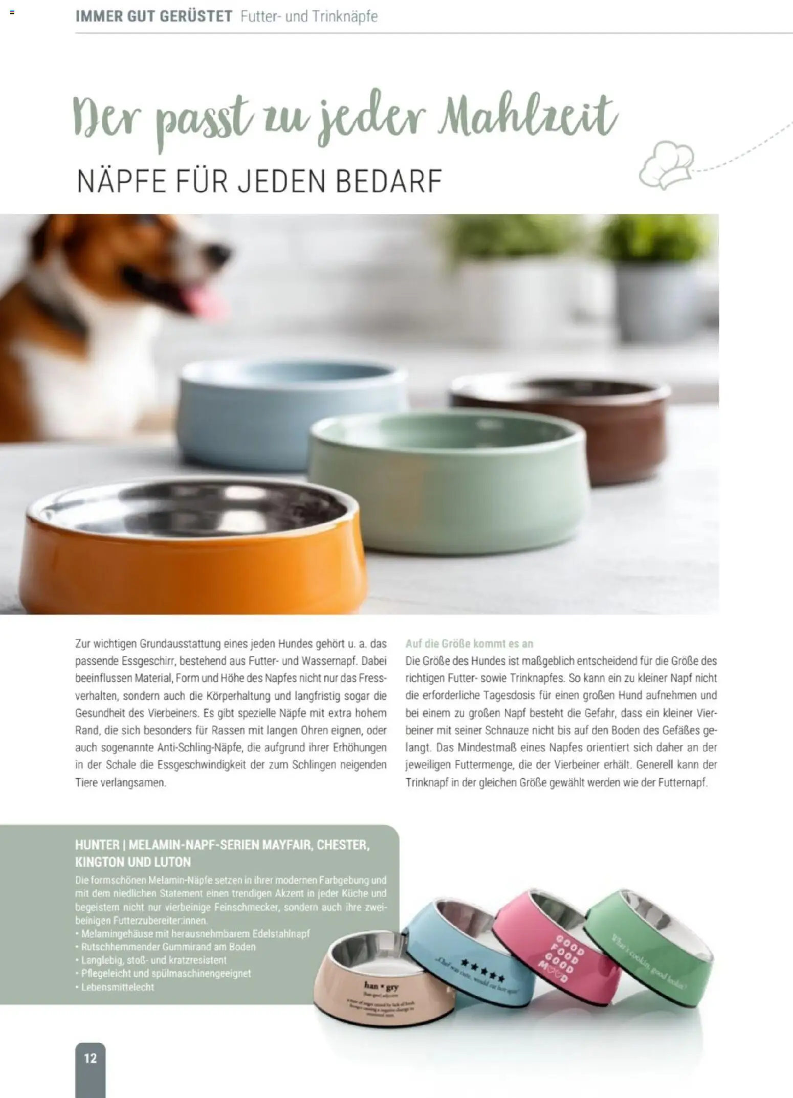 zookauf Themenkatalog Hund – gültig ab 18.05.2026 | Seite: 12 | Produkte: Küche