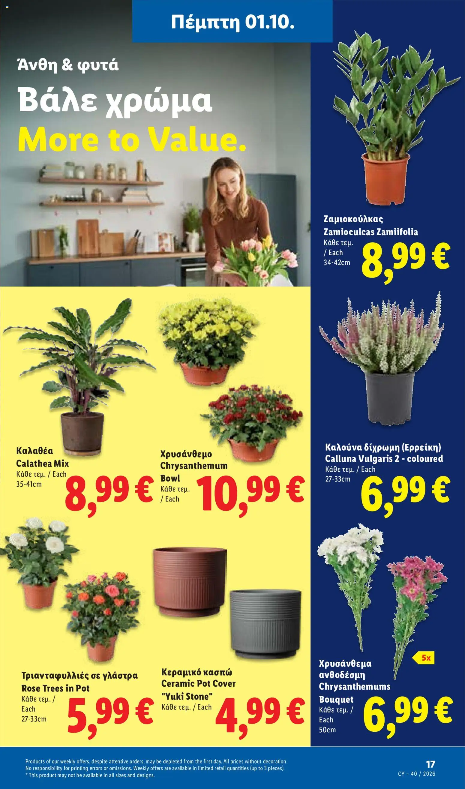 Lidl φυλλαδιο – σε ισχύ από 01/10/2026 | Σελίδα: 45