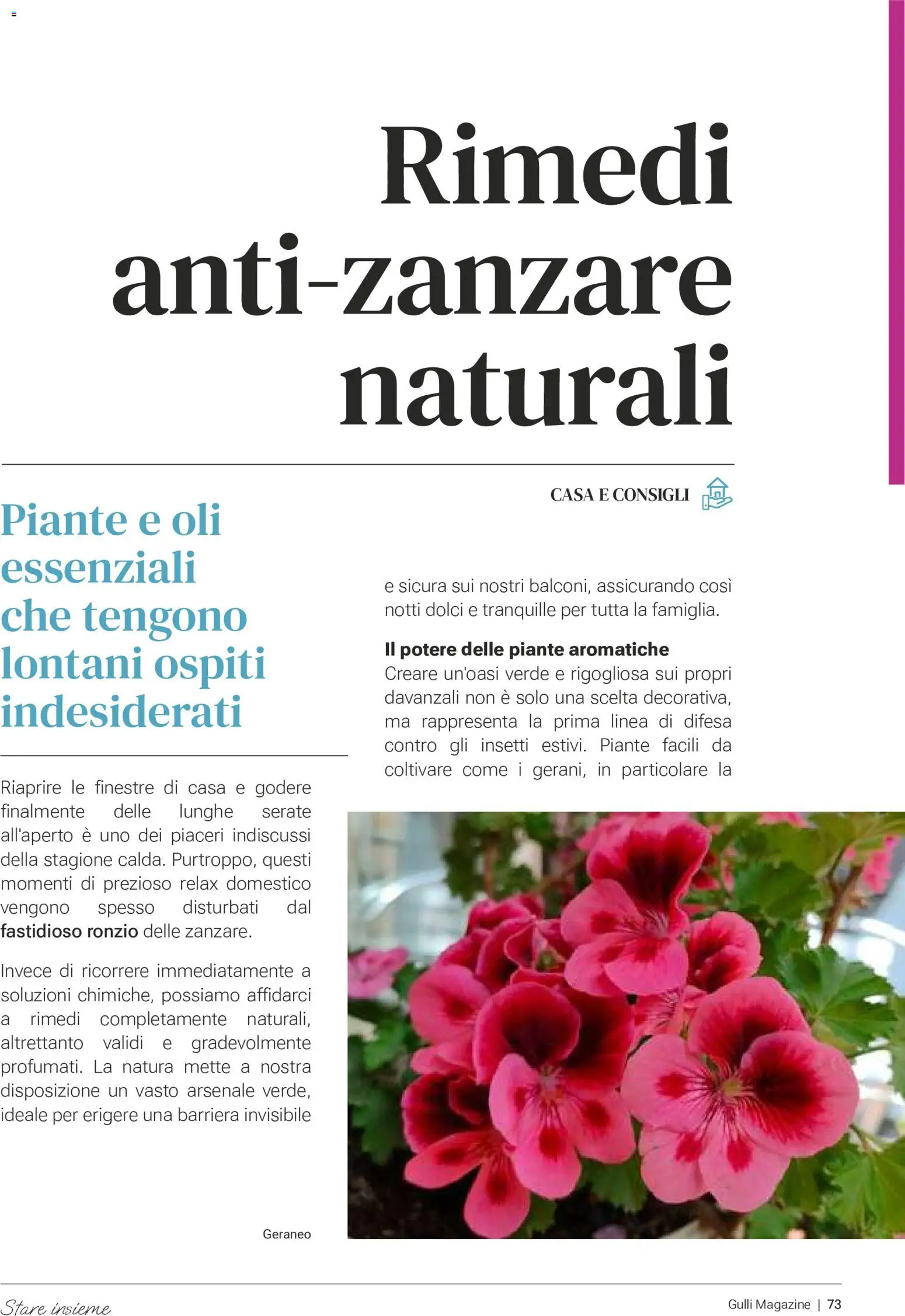 Volantino Gulliver del 01/07/2026 | Pagina: 72 | Prodotti: Antizanzare