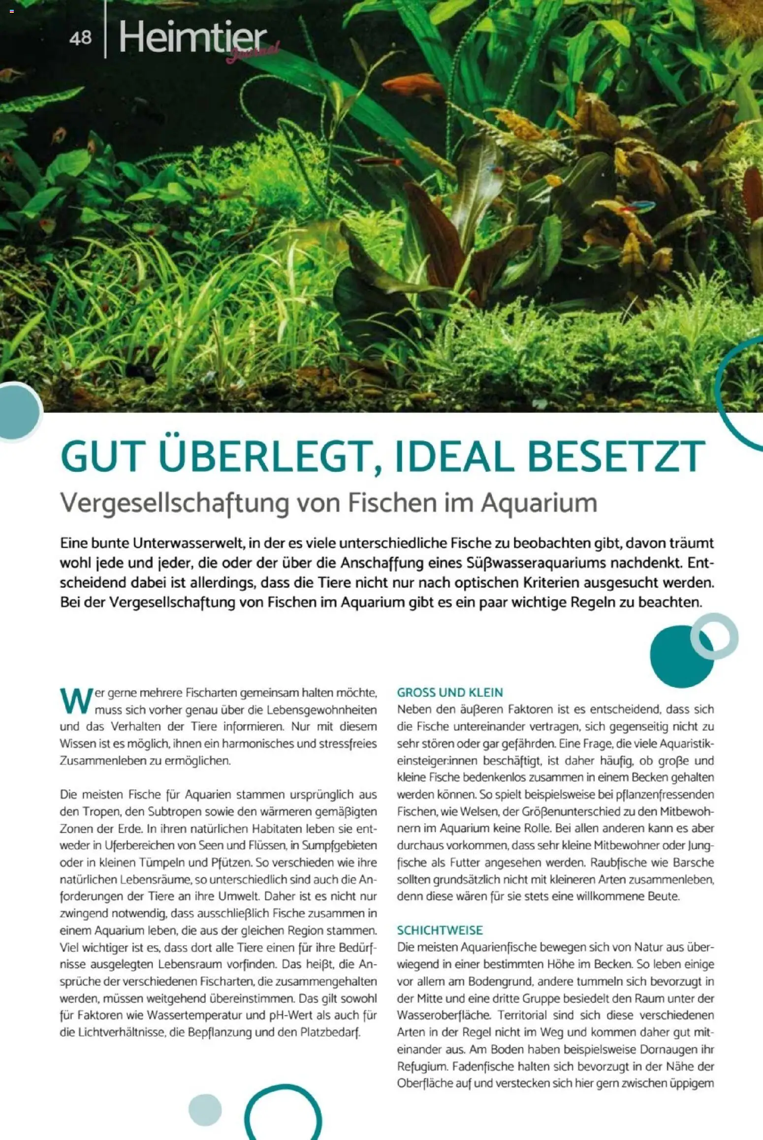 zookauf Heimtier Journal – gültig ab 01.10.2026 | Seite: 48