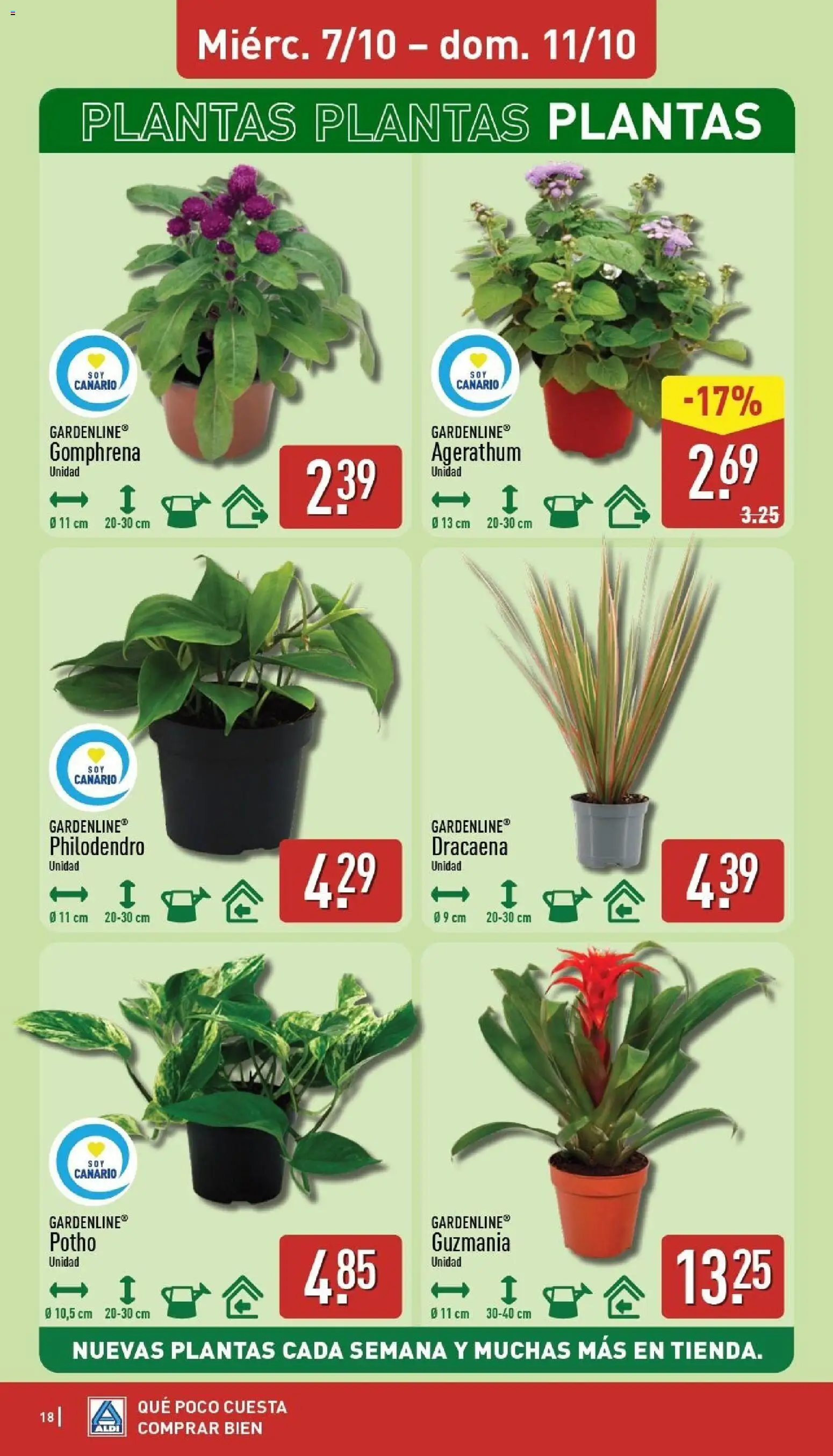 Aldi folleto Canarias │ válido desde el 05/10/2026 | Página: 18