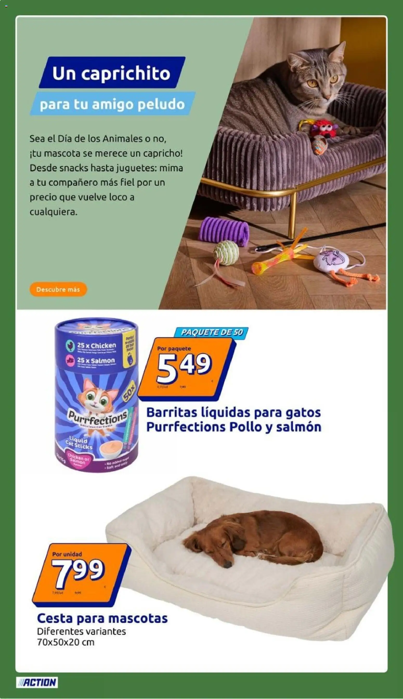 Action folleto │ válido desde el 30/09/2026 | Página: 36 | Productos: Salmón, Juguetes, Pollo, Cesta