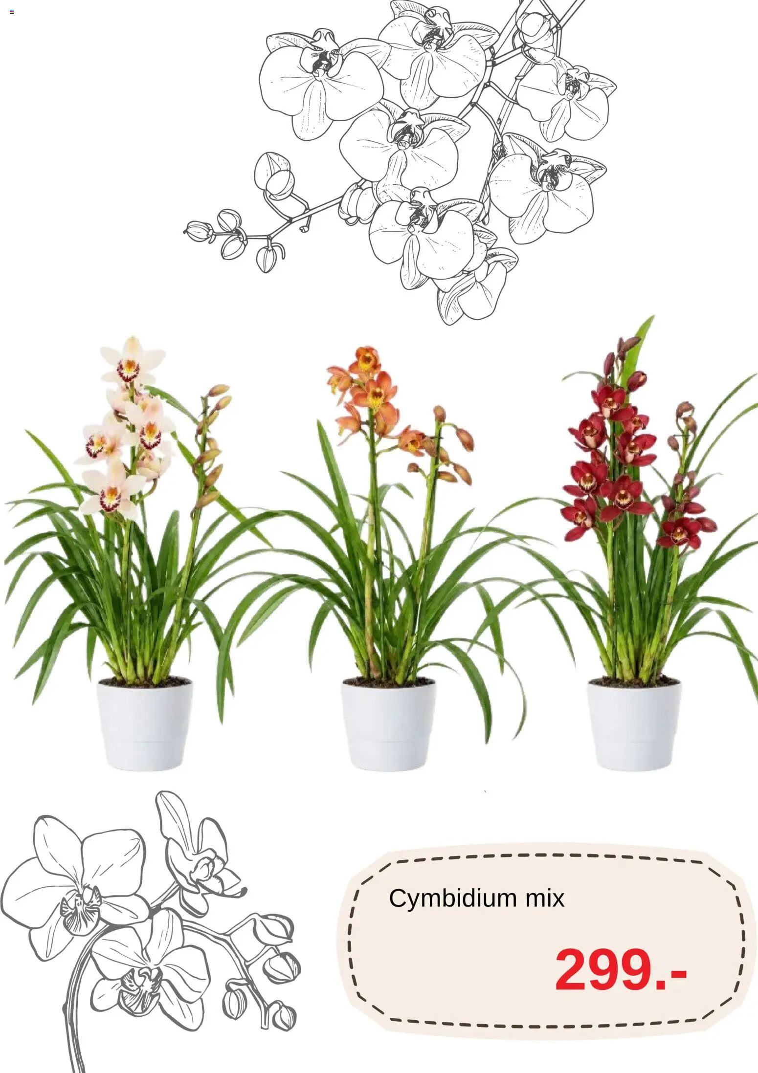 Blomsterlandet reklamblad aktuell från 09/10/2026 | Sida: 2