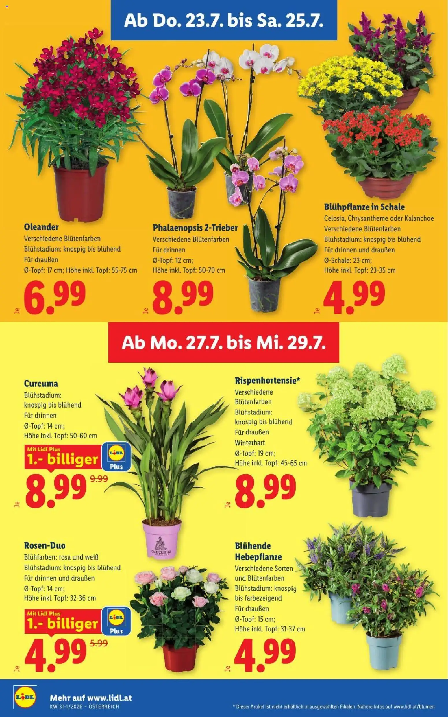 Lidl - Flugblatt gültig ab 23.07.2026 | Seite: 30