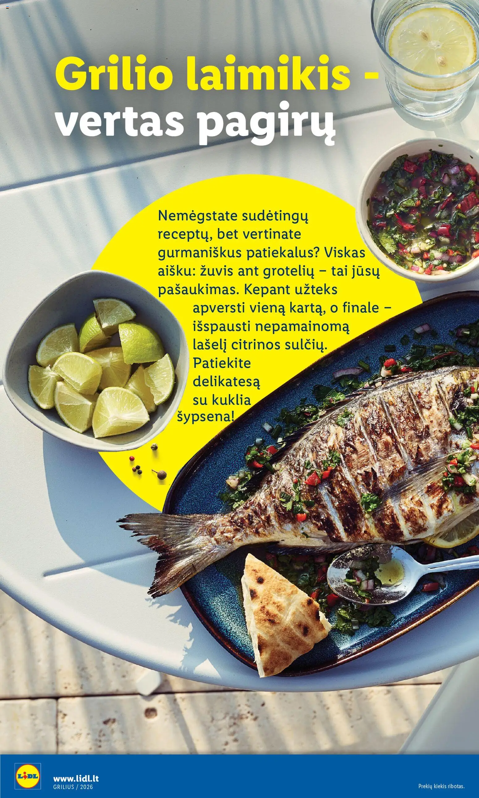 LIDL akcijos nuo 2026.04.06 | Puslapis: 24 | Prekių: Grotelės, Termometras
