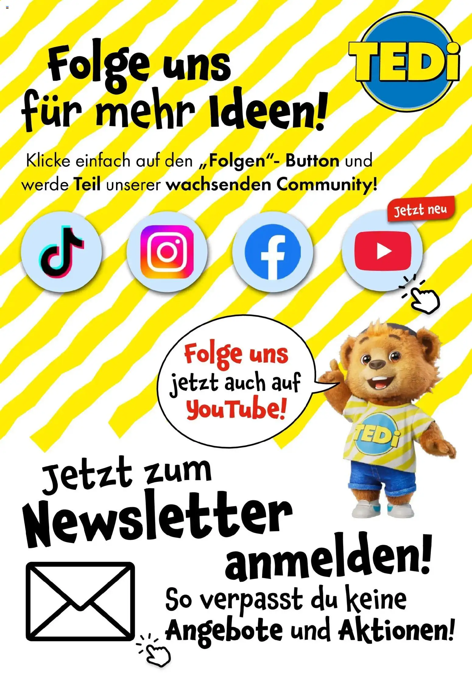 TEDi - TEDi Neueröffnung Dessau-Roßlau – gültig ab 04.03.2026 | Seite: 12