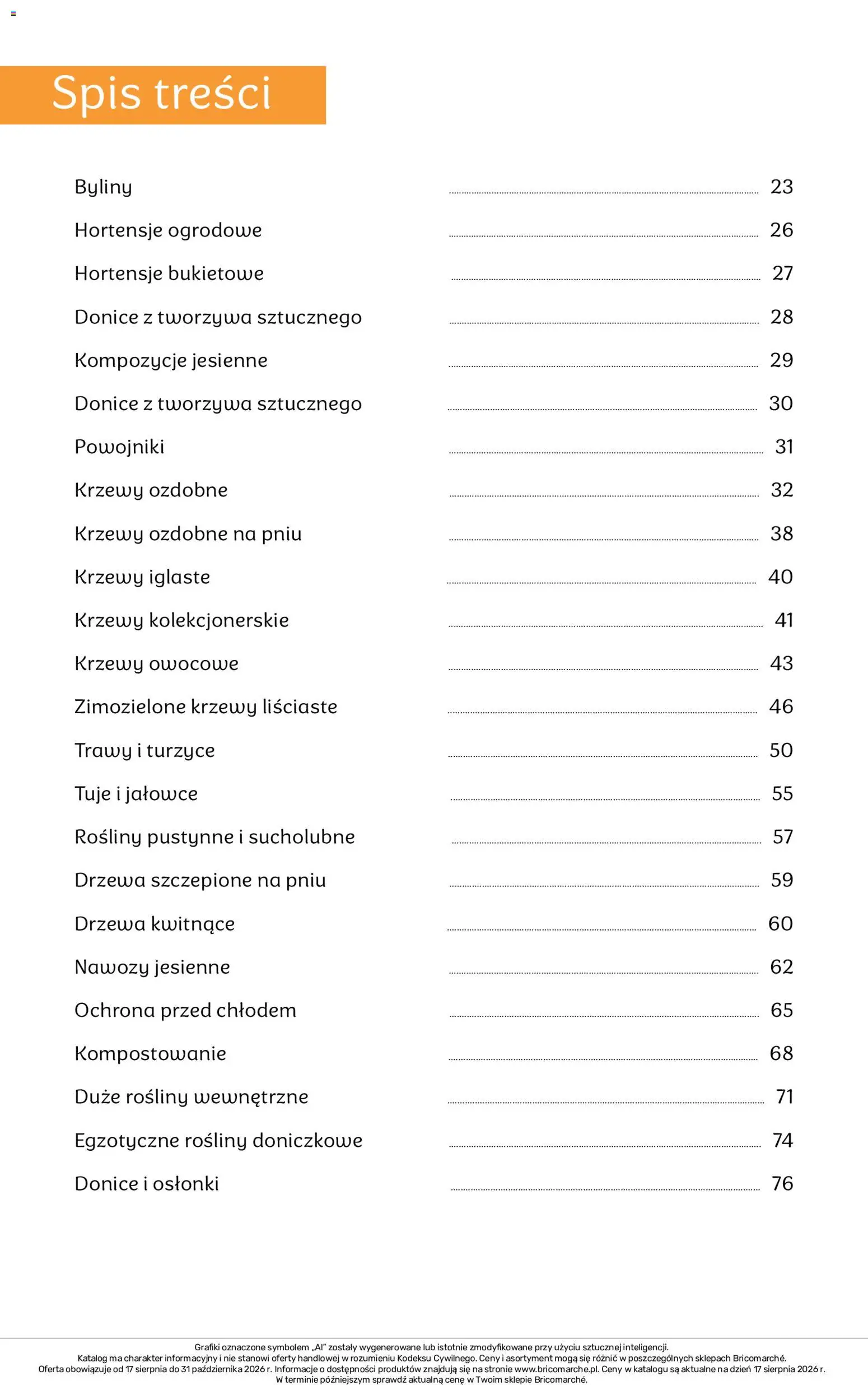 Brico Marché gazetka - Jesienne Inspiracje od 17.08.2026 | Strona: 22 | Produkty: Trawy, Tuje, Krzewy owocowe, Rosliny
