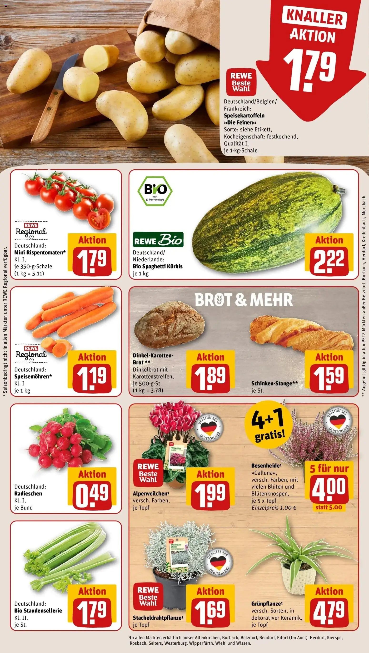 REWE Prospekt ab 05.10.2026 zum Blättern » Angebote | Seite: 9 | Produkte: Spaghetti, Kürbis, Brot