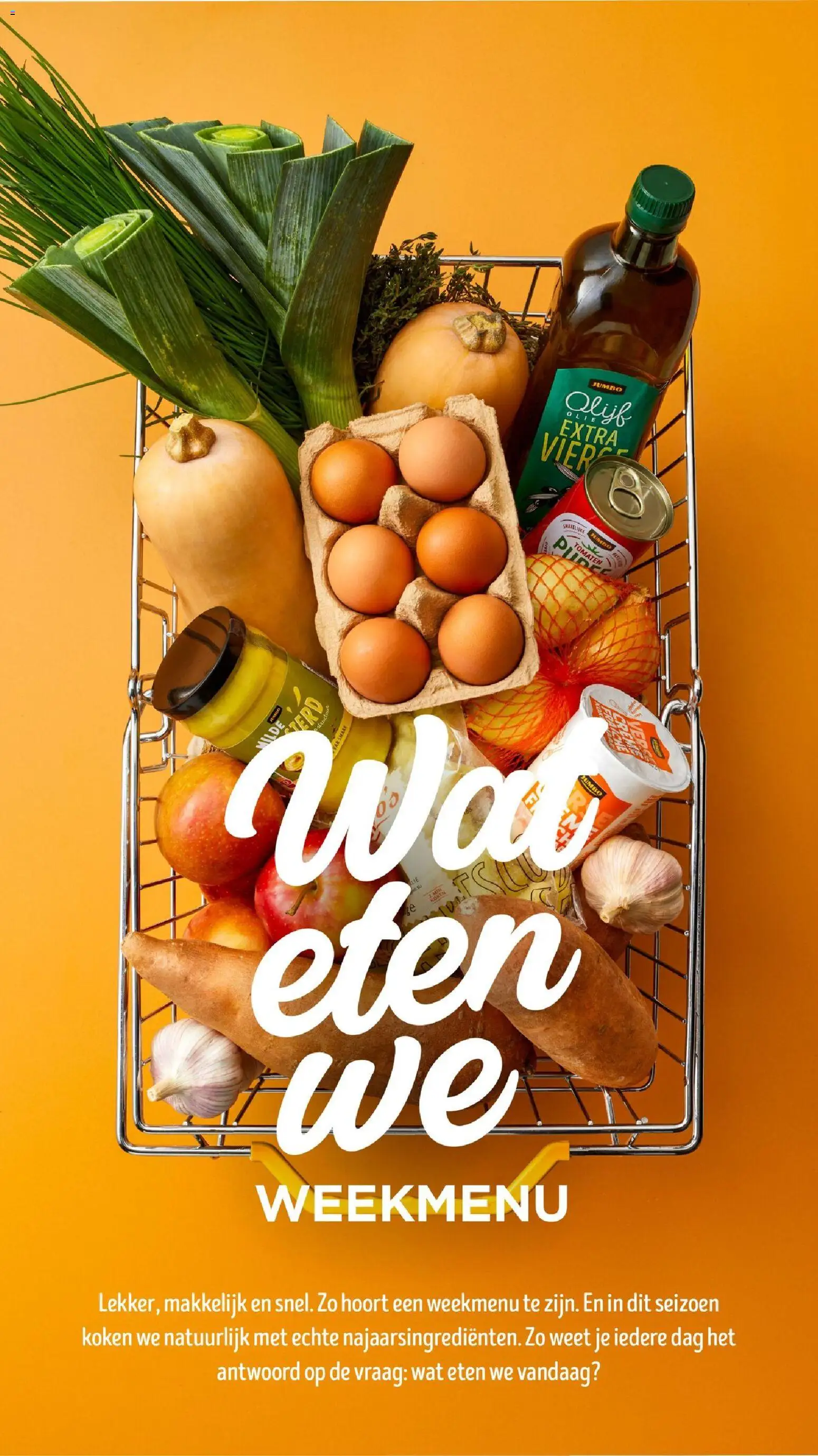 {H1} | Pagina: 33 | Producten: Olie, Tomatenpuree, Pot, Fles