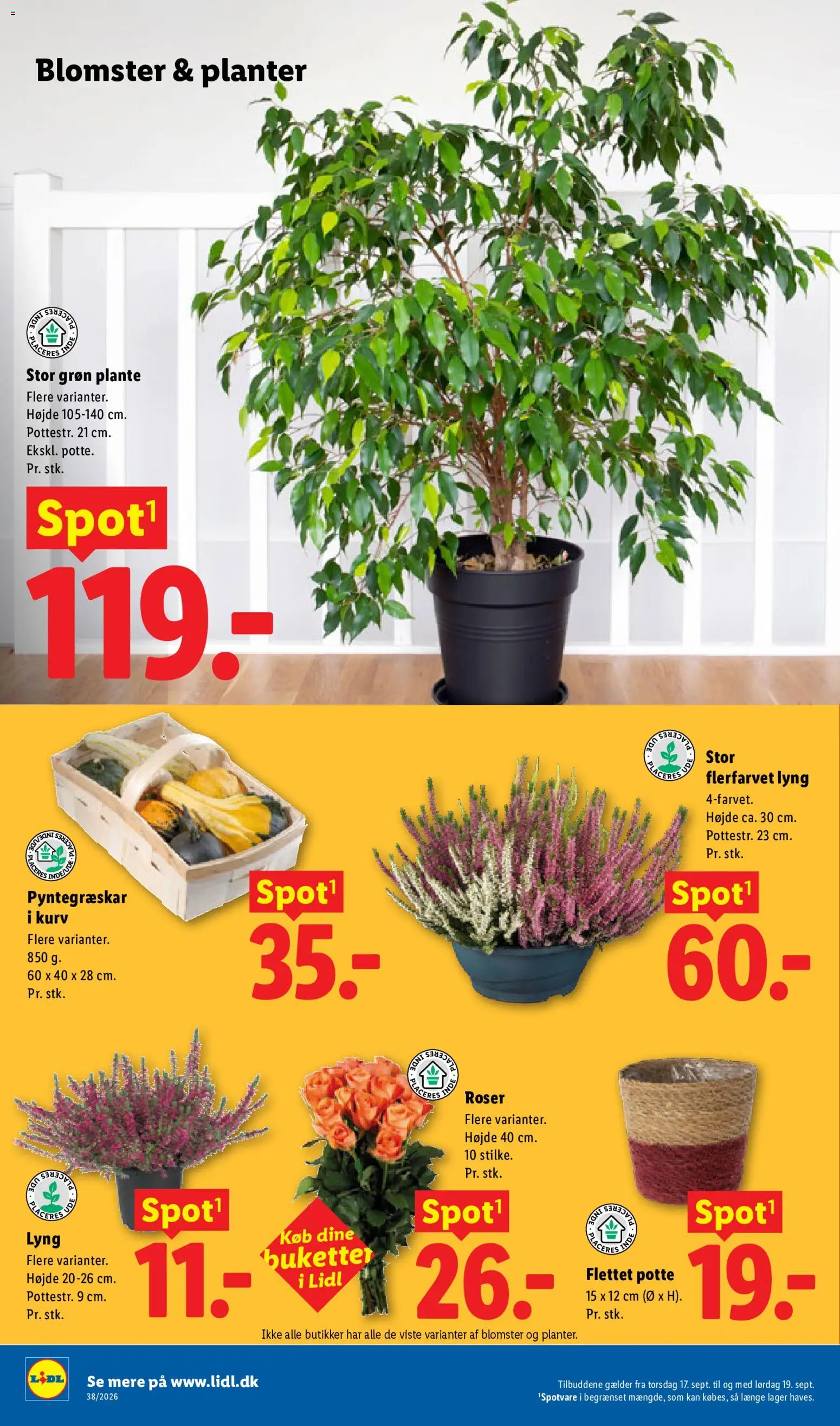 Lidl tilbudsavis – gyldig fra 13/09/2026 | Side: 7 | Produkter: Kurv, Søm