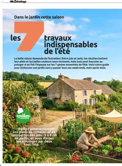 Mr. Bricolage - Prévisualisation de Mr. Bricolage Dans votre magasin valide à partir de 03/07/2026 | Page: 8 | Produits: Mais, Tomates