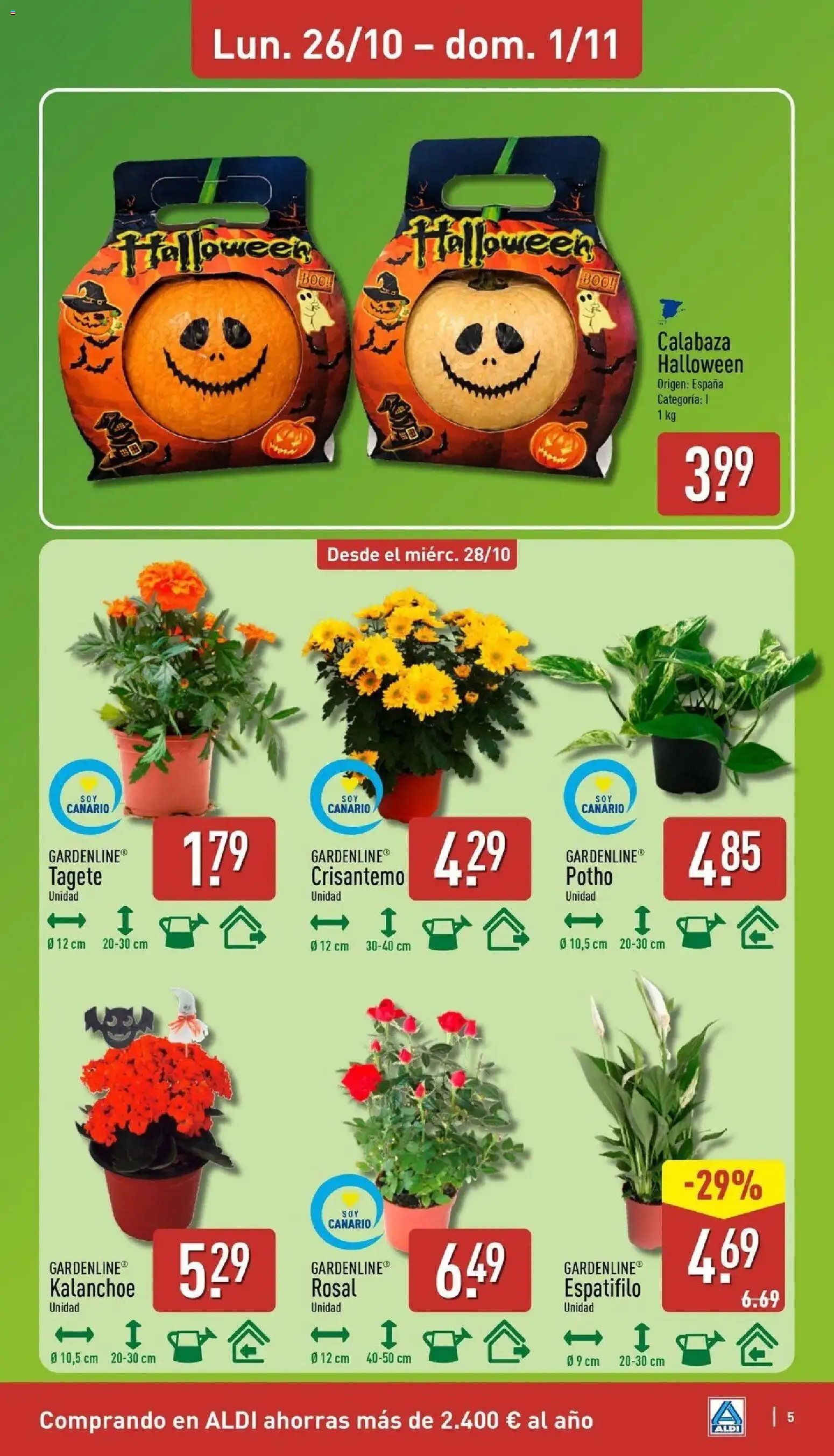 Aldi - Qué poco cuesta comprar bien │ válido desde el 26/10/2026 | Página: 5 | Productos: Calabaza