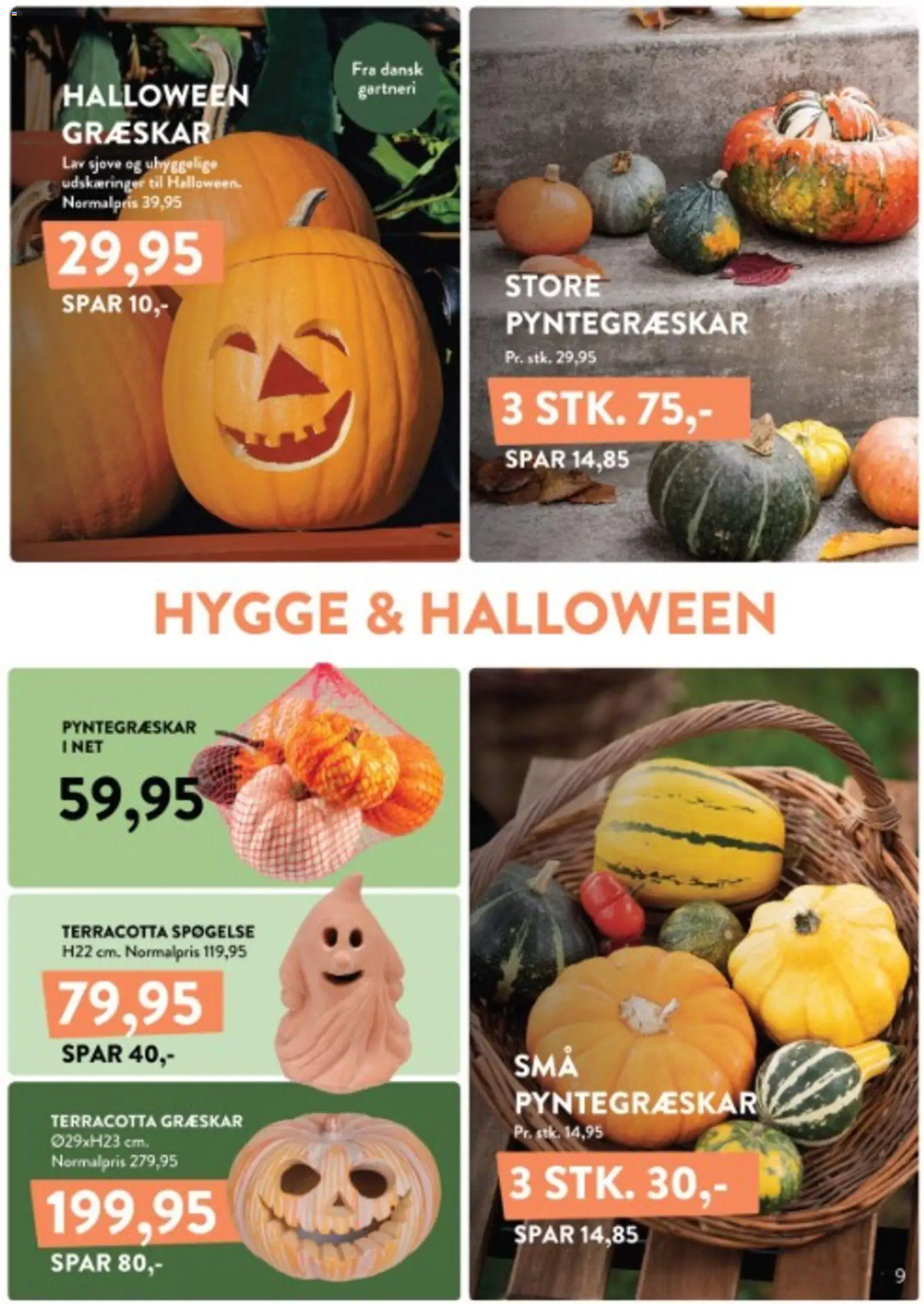 Plantorama tilbudsavis – gyldig fra 12/10/2026 | Side: 9 | Produkter: Græskar