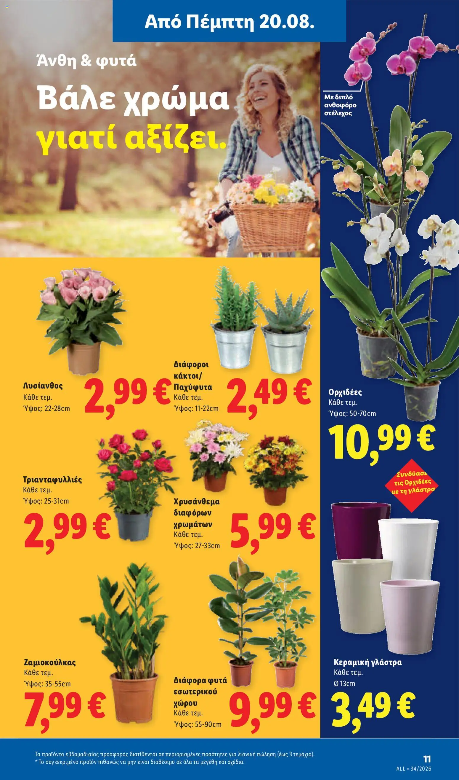 Lidl Φυλλάδιο - σε ισχύ από 20/08/2026 | Σελίδα: 47 | Προϊόντα: Γλάστρα