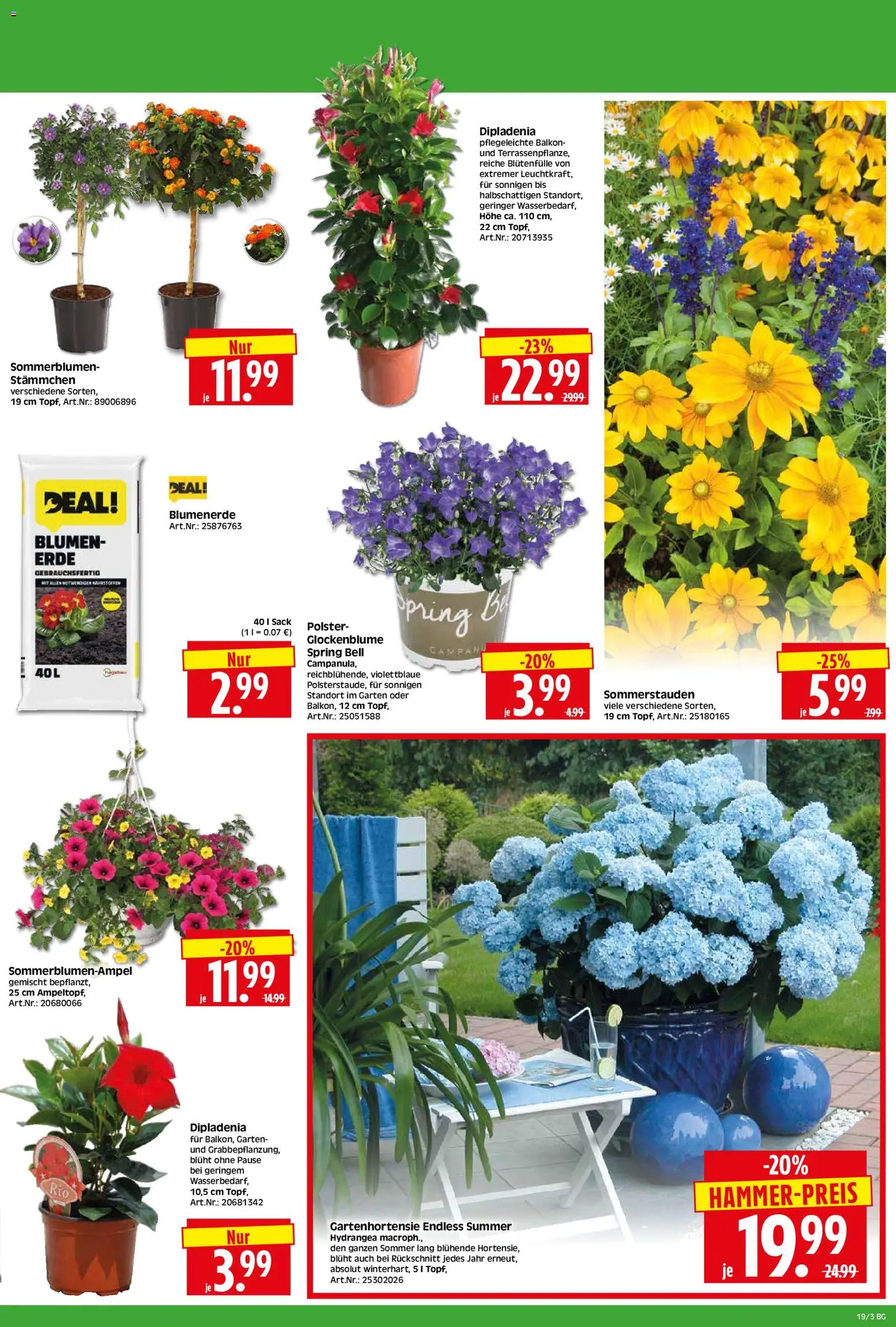 HERKULES Bau & Garten – gültig ab 04.05.2026 | Seite: 3 | Produkte: Blumen, Blumenerde