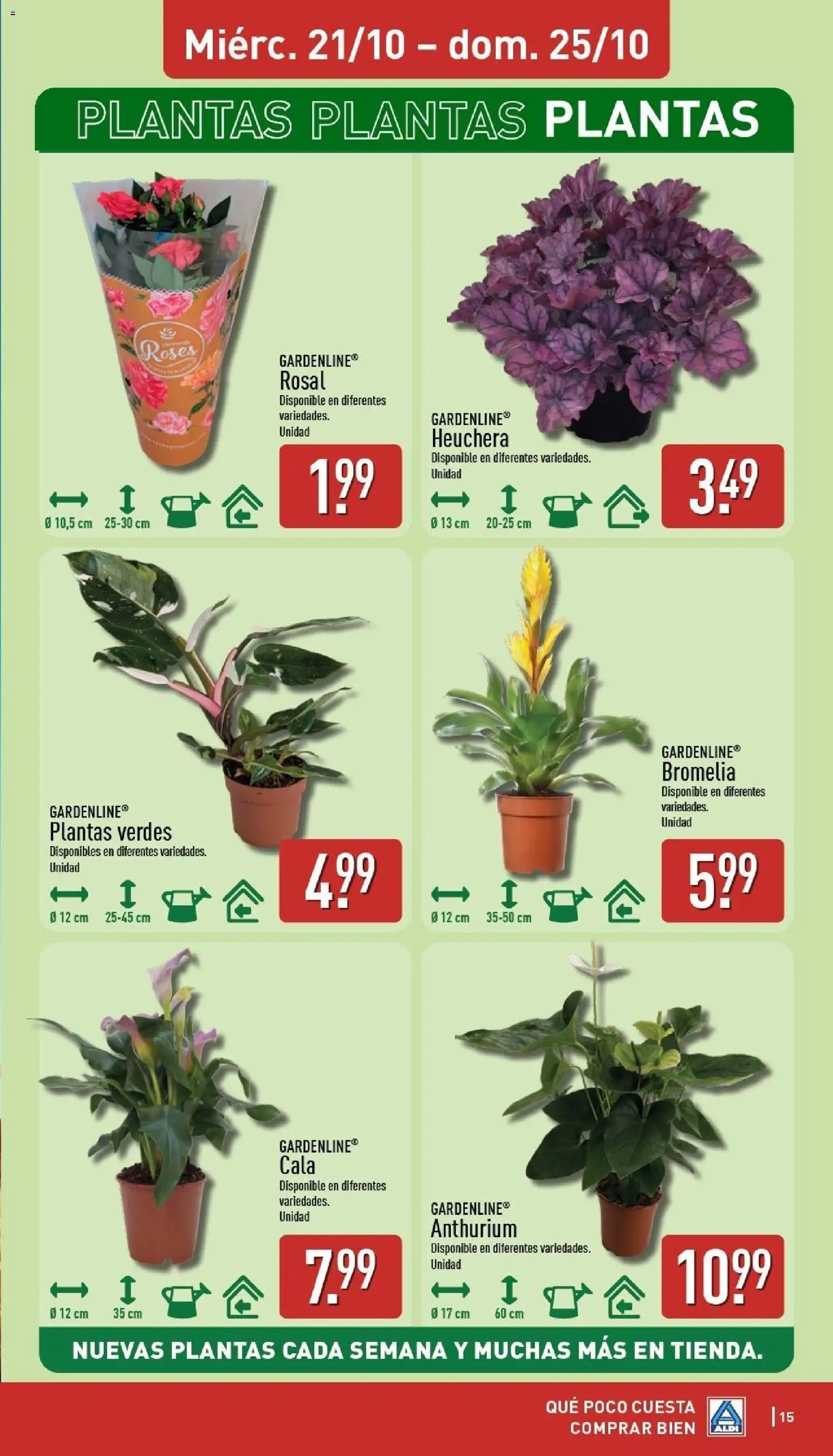 Aldi folleto Península │ válido desde el 19/10/2026 | Página: 15