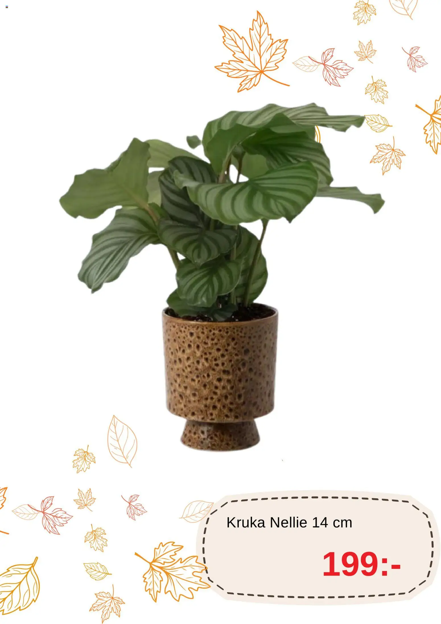 Blomsterlandet reklamblad aktuell från 19/10/2026 | Sida: 2 | Produkter: Kruka