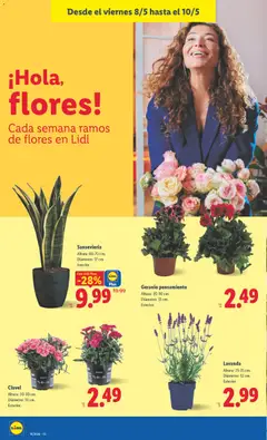 Vista previa Lidl folleto válido desde el 04.05.2026 | Página: 50