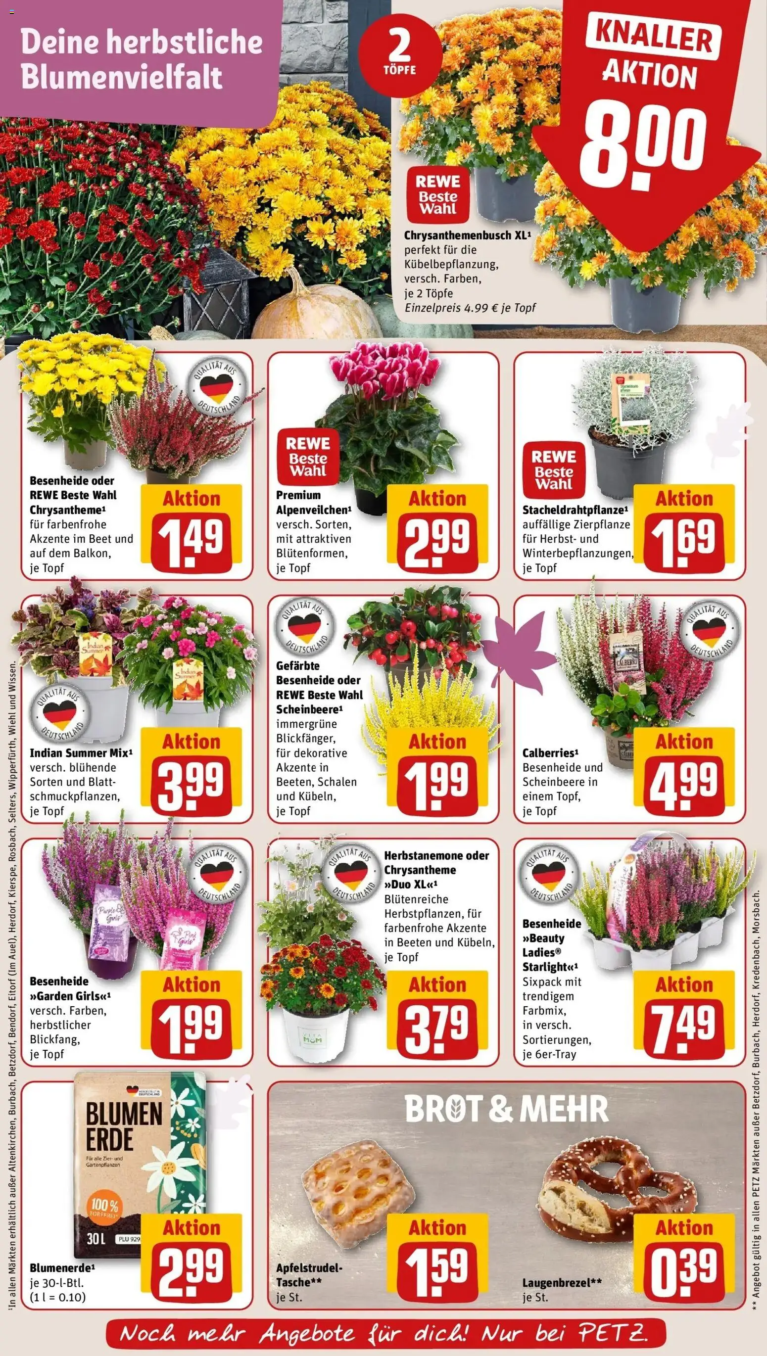 REWE Prospekt ab 14.09.2026 zum Blättern » Angebote | Seite: 7 | Produkte: Tasche, Blumen, Brot