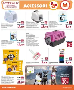 Anteprima del volantino Il Gigante volantino Animali valido a partire dal 07.05.2026 | Pagina: 4 | Prodotti: Rullo, Paletta, Silicone, Cuscino