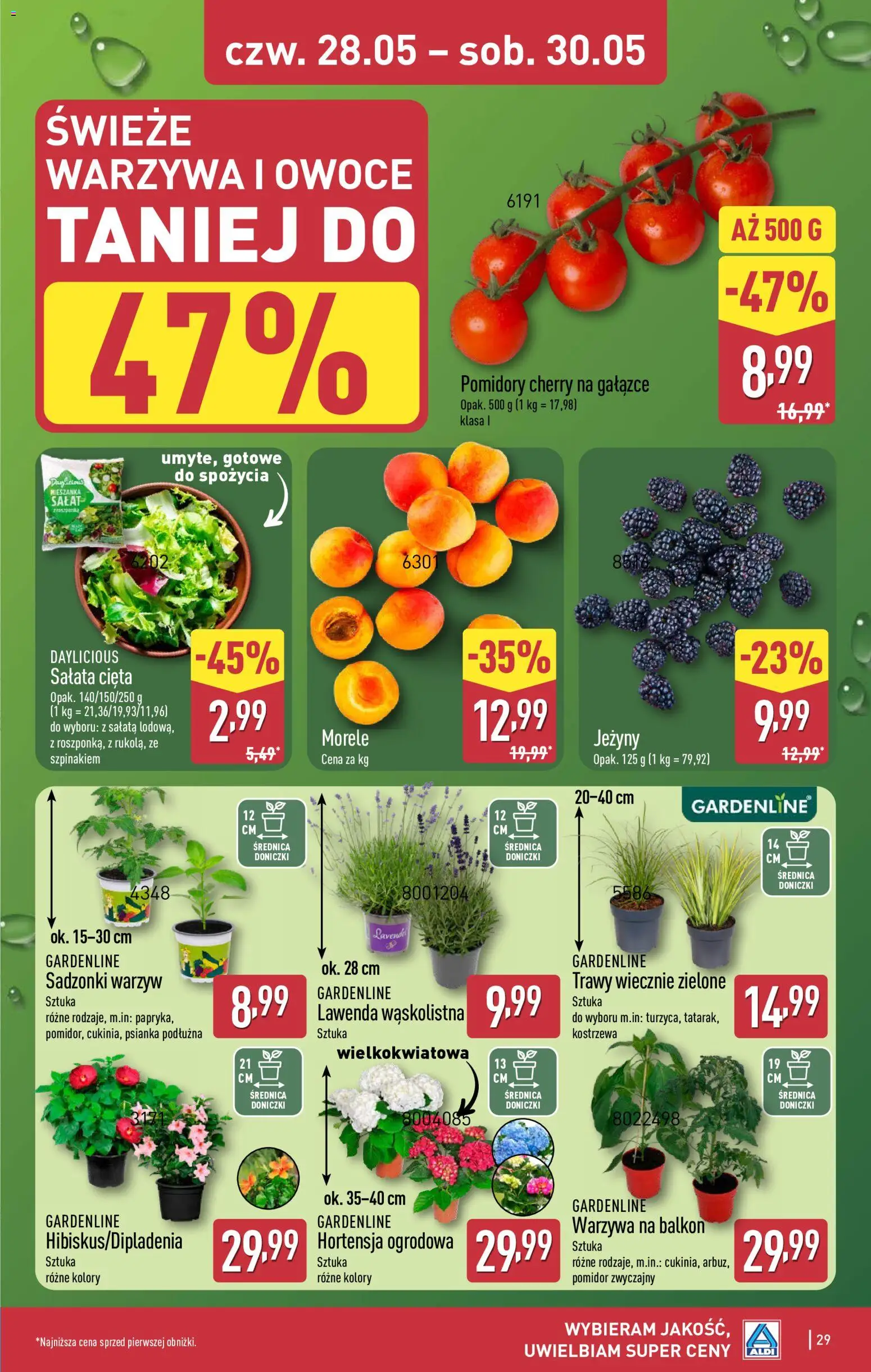 Aldi gazetka od 25.05.2026 | Strona: 29 | Produkty: Trawy, Jeżyny, Doniczki, Warzywa