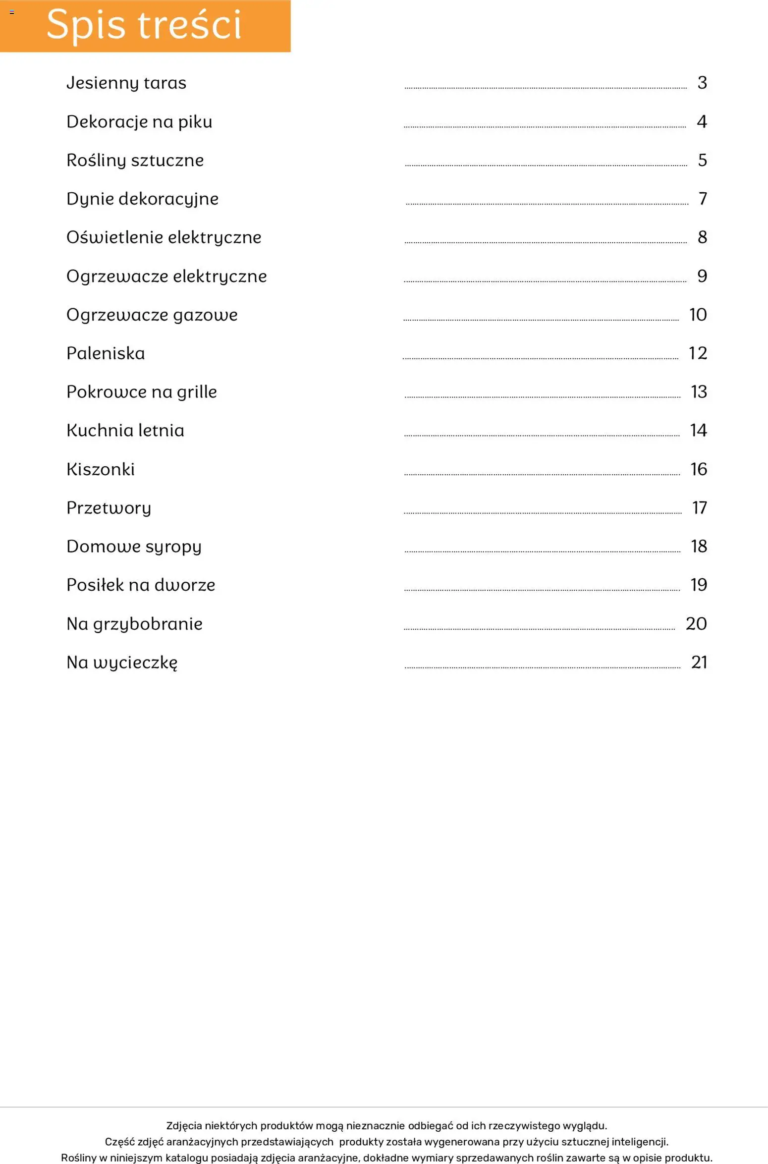 Brico Marché gazetka - Jesienne Inspiracje od 17.08.2026 | Strona: 2 | Produkty: Przetwory, Oświetlenie, Dekoracje, Rosliny