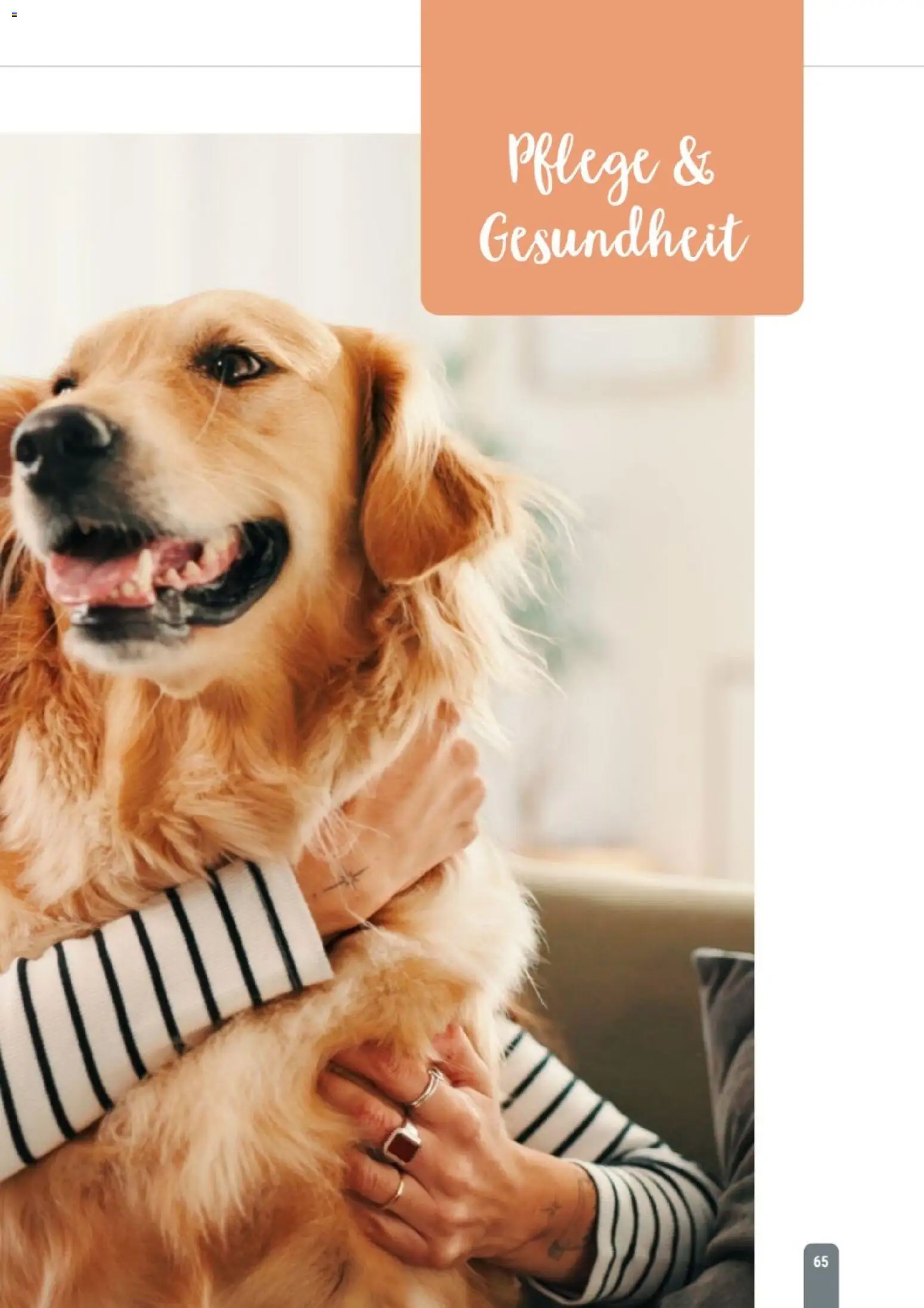 zookauf Themenkatalog Hund – gültig ab 18.05.2026 | Seite: 65