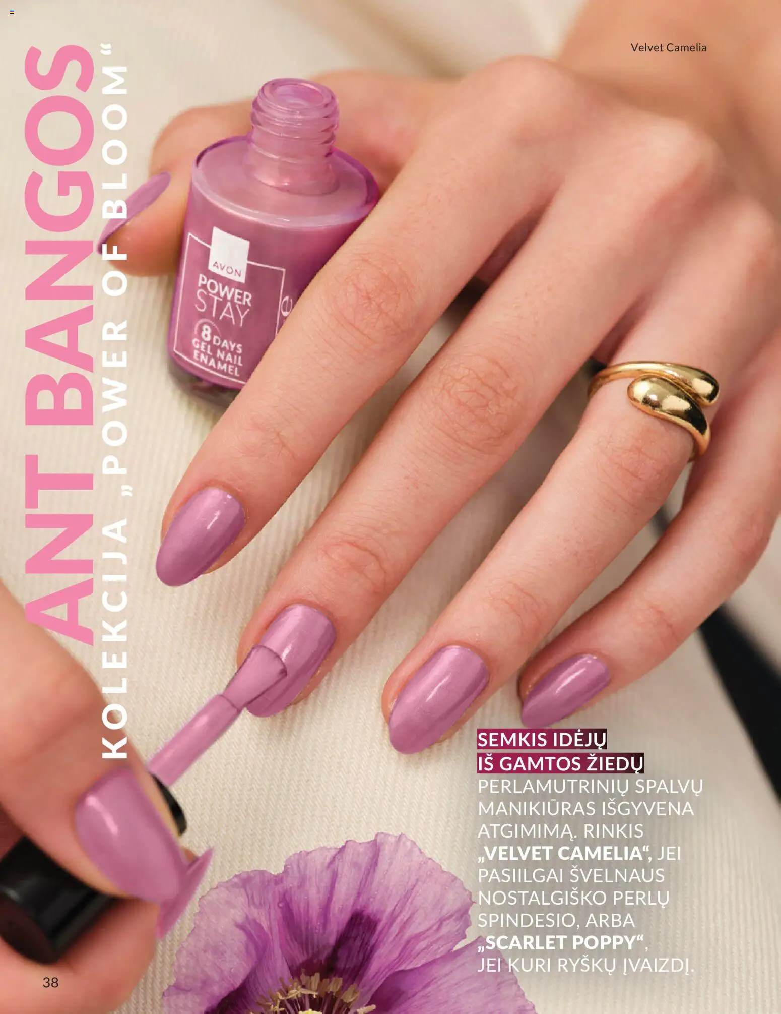 AVON akcijos nuo 01.05.2026 | Puslapis: 38