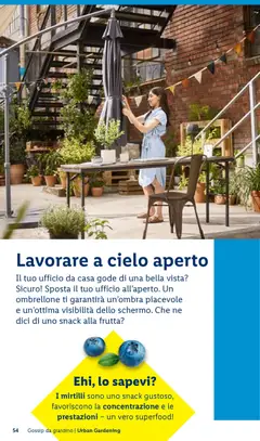 Anteprima del volantino mirtilli, I mirtilli sono uno snack gustoso, favoriscono la concentrazione e le prestazioni - un vero superfood! valido a partire dal 23.04.2026 | Pagina: 54