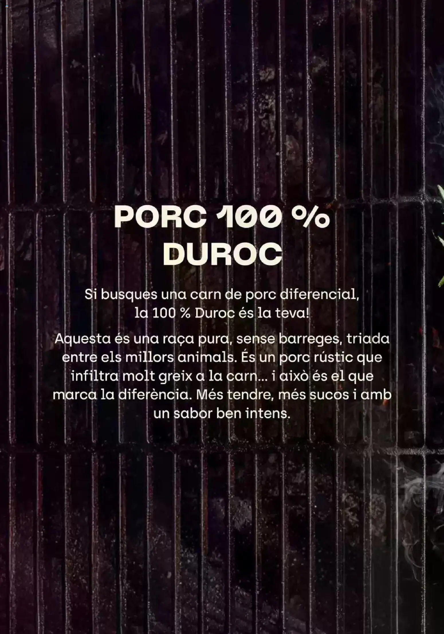 Bonpreu Fa Bo I Se'ns Nota │ válido desde el 04/08/2026 | Página: 15
