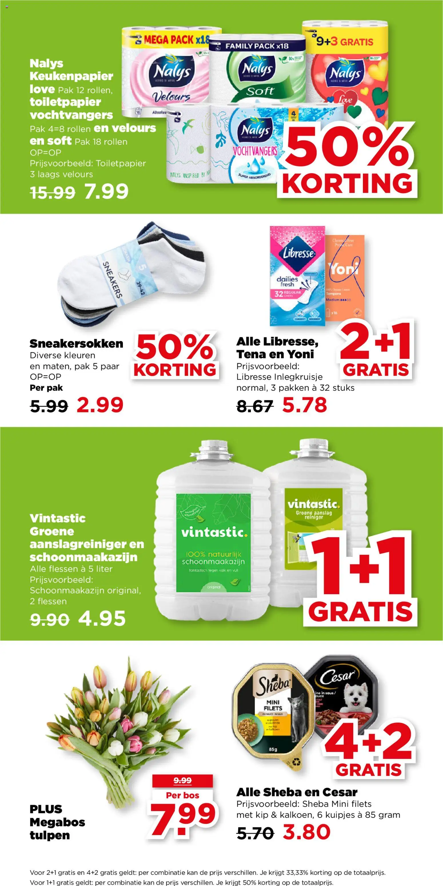 {H1} | Pagina: 35 | Producten: Velours, Sneakers, Keukenpapier, Tampons