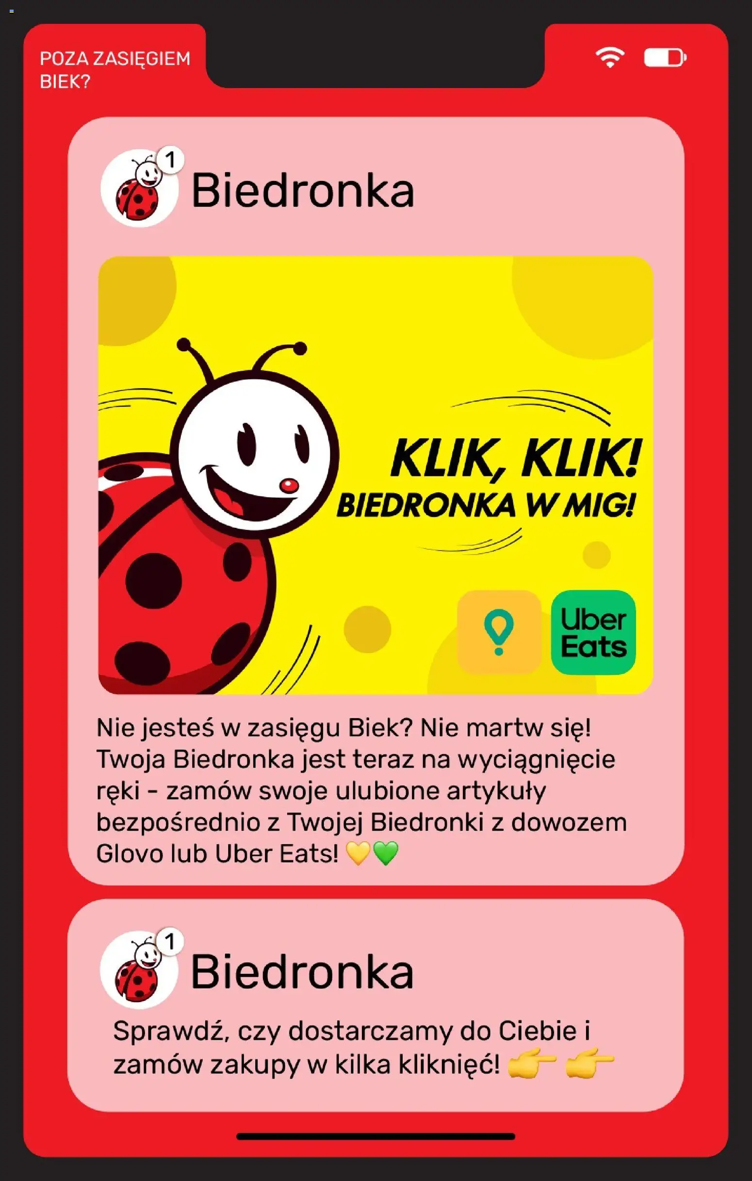 Biedronka Polsko leták - Biek oferta od 28.08.2026 | Strana: 21