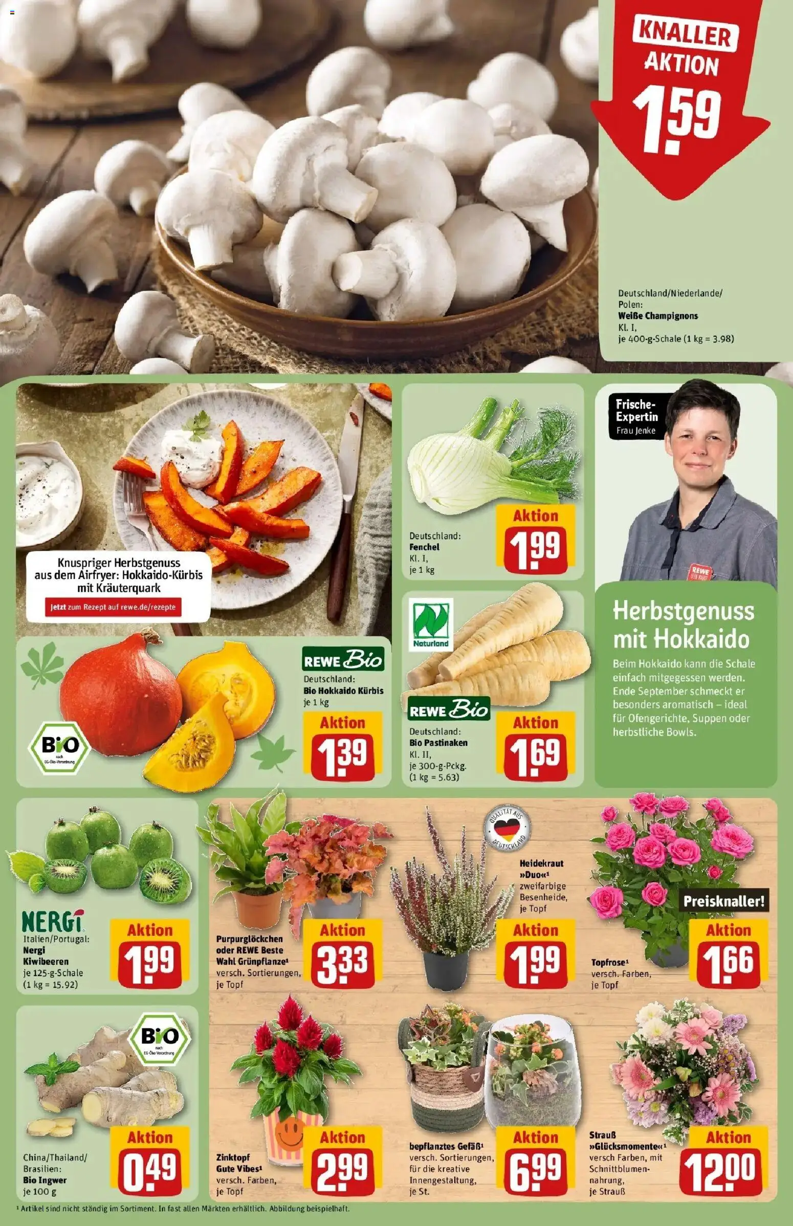 REWE Prospekt ab 28.09.2026 zum Blättern » Angebote | Seite: 13 | Produkte: Champignons, Kürbis