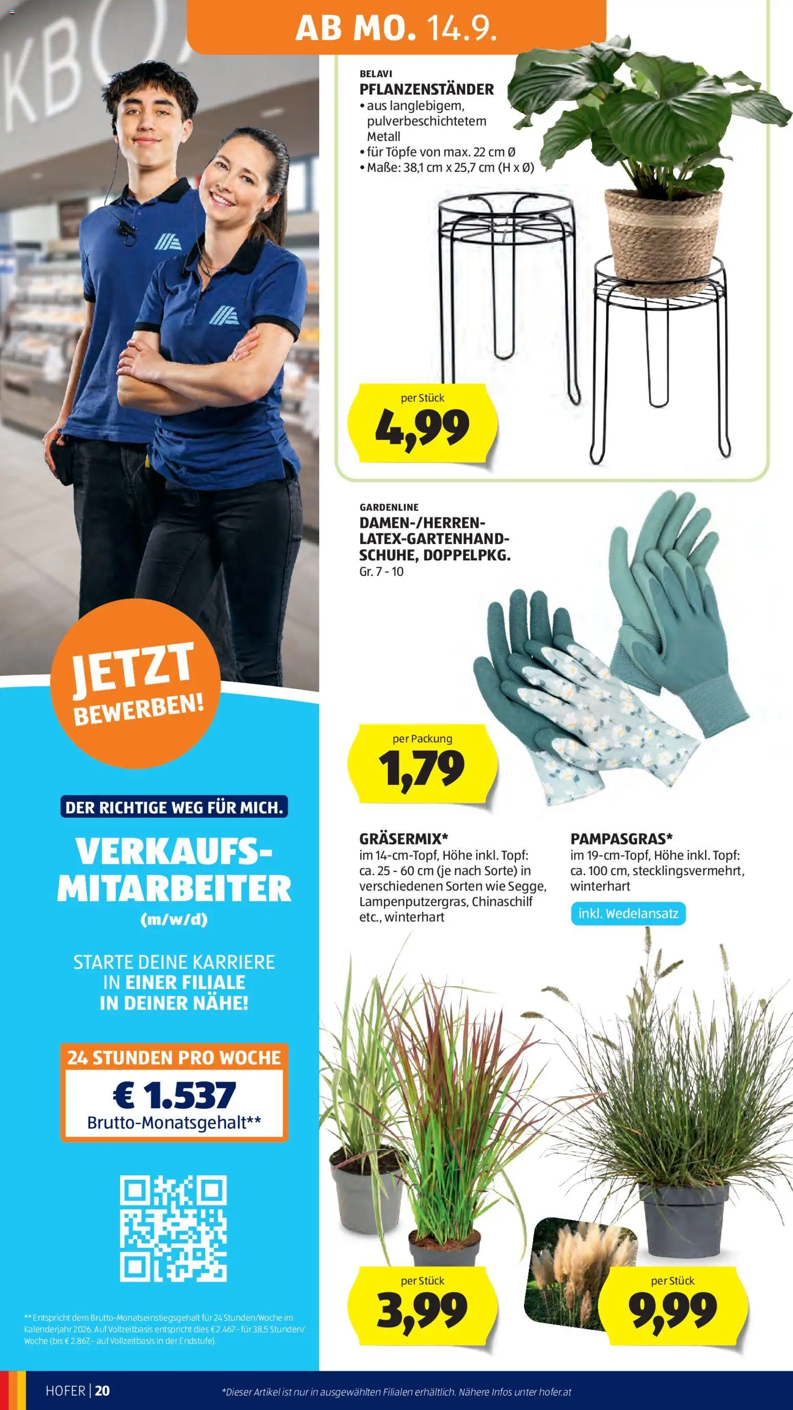 Hofer Flugblatt gültig ab 11.09.2026 | Seite: 30
