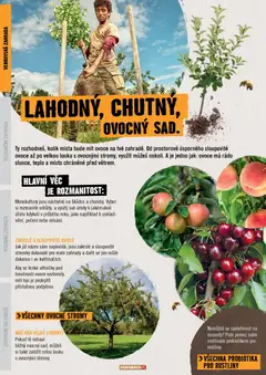 Náhled letáku HORNBACH leták - Zahrada od 01.01.2026 | Strana: 8 | Produkty: Ovoce, Zahrada, Kalendář, Rostliny