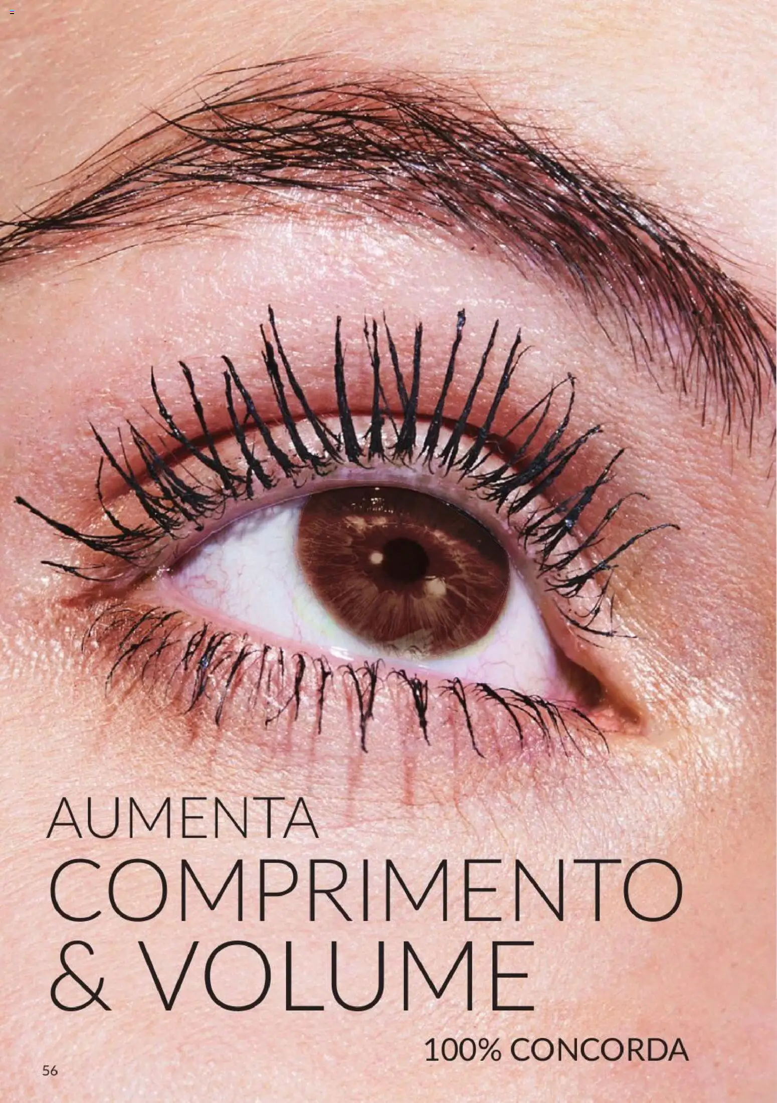 Catálogo Avon Campanha 11 │ válido de 01/11/2026 | Página: 56