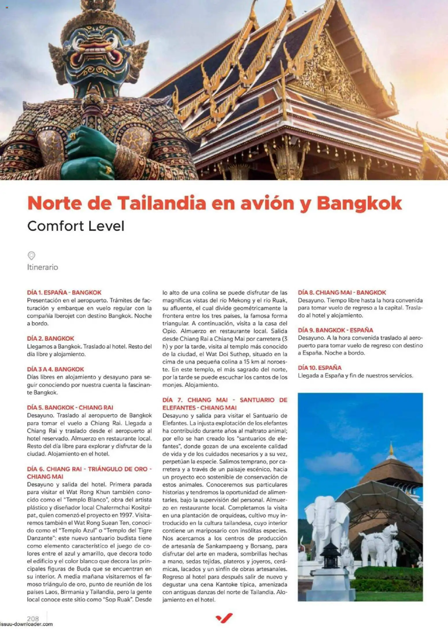 Halcón Viajes Comfort level 2026 │ válido desde el 04.06.2026 | Página: 208 | Productos: Té
