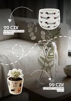 Náhled letáku Sinsay leták od 21.05.2026 | Strana: 5