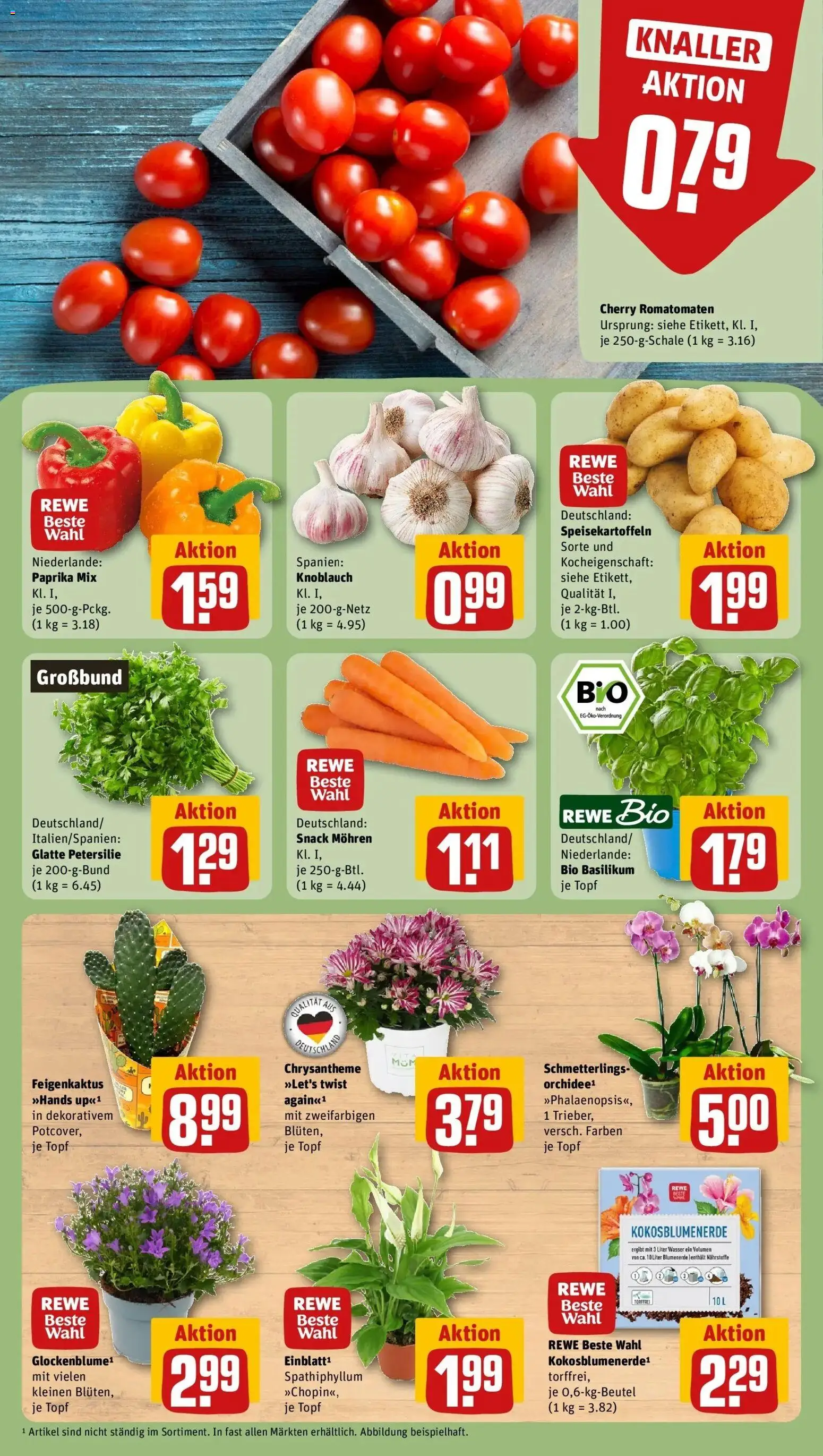 REWE Prospekt ab 10.08.2026 zum Blättern » Angebote | Seite: 5 | Produkte: Wasser, Paprika, Knoblauch, Petersilie