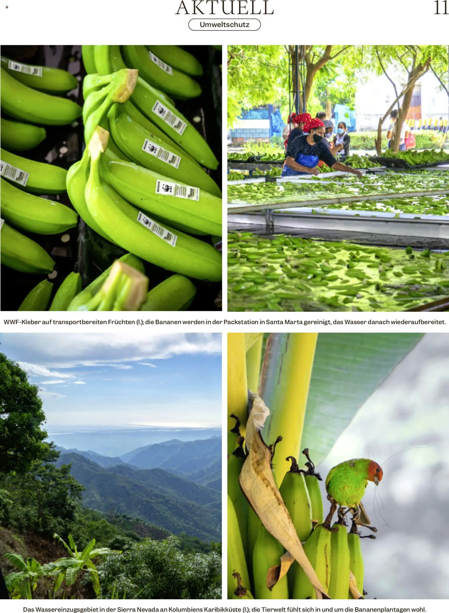 Migros aktionen Magazin – gültig ab 07.10.2026 | Seite: 11 | Produkte: Bananen, Wasser