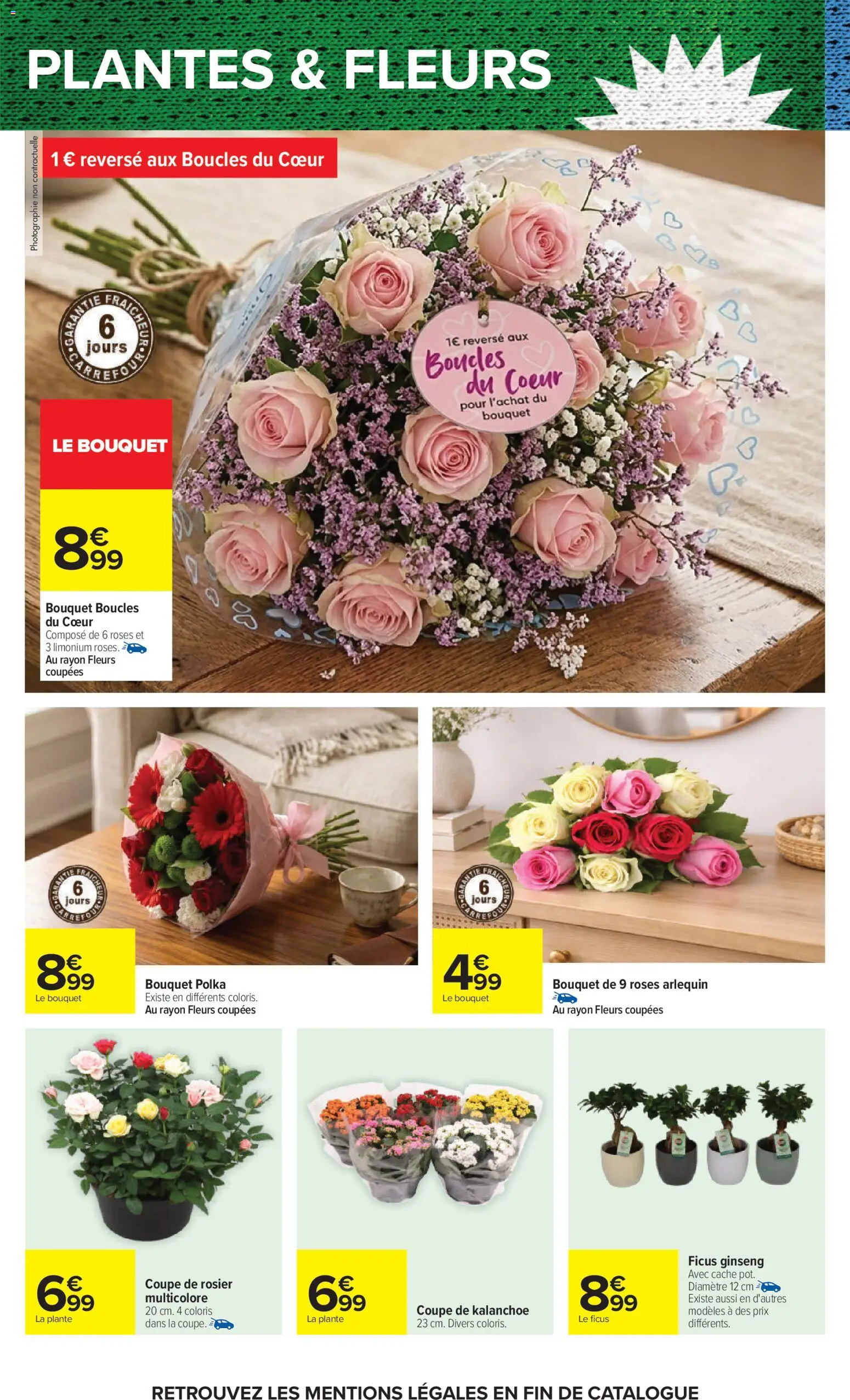 {H1} | Page: 52 | Produits: Rosier, Plantes