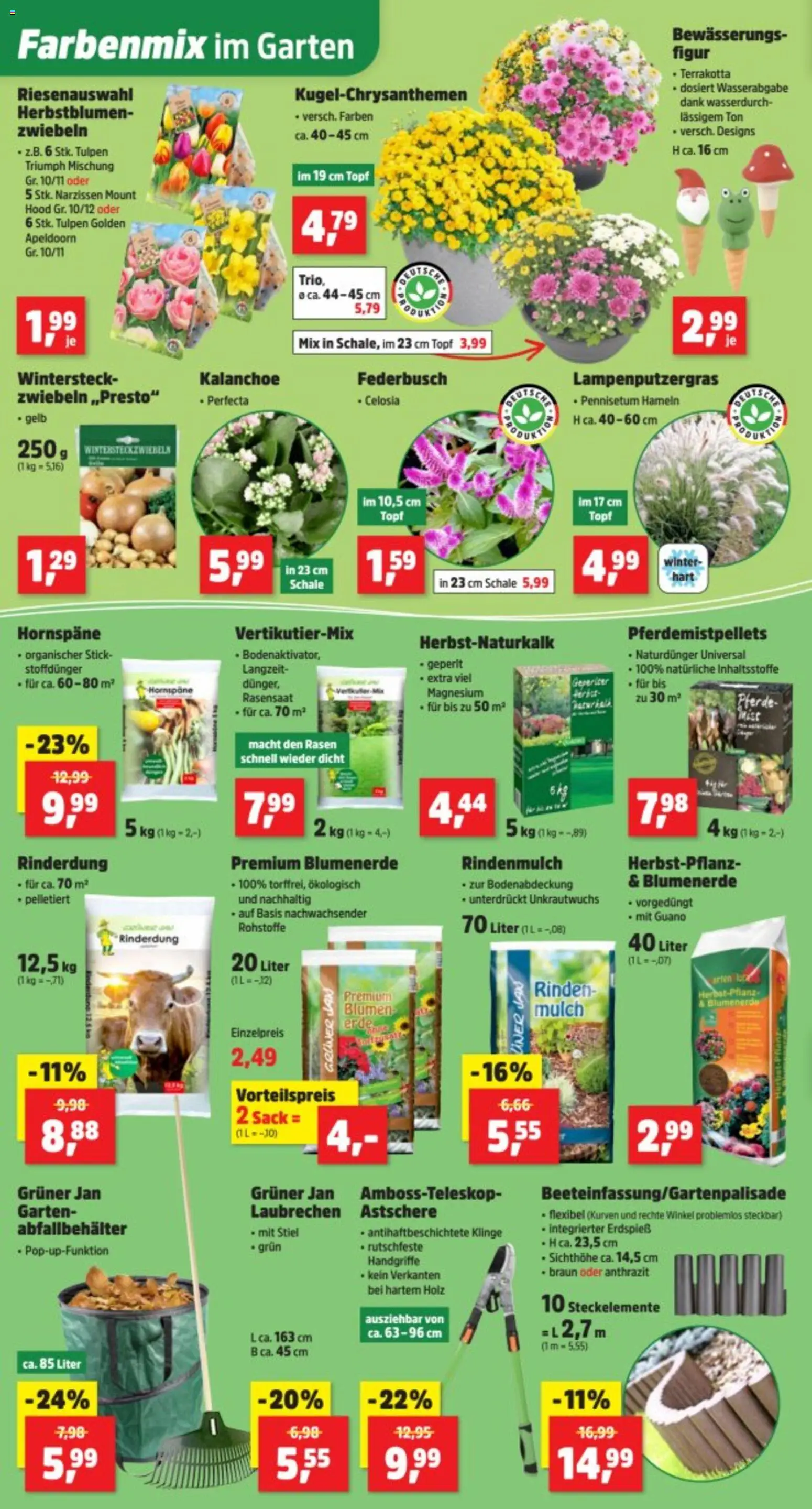 Thomas Philipps Prospekt – gültig ab 17.08.2026 | Seite: 3 | Produkte: Rindenmulch, Blumen, Blumenerde, Zwiebeln