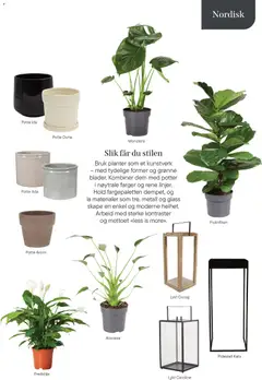 Forhåndsvisning av Plantasjen kundeavis gyldig fra 08/01/2026 | Side: 13