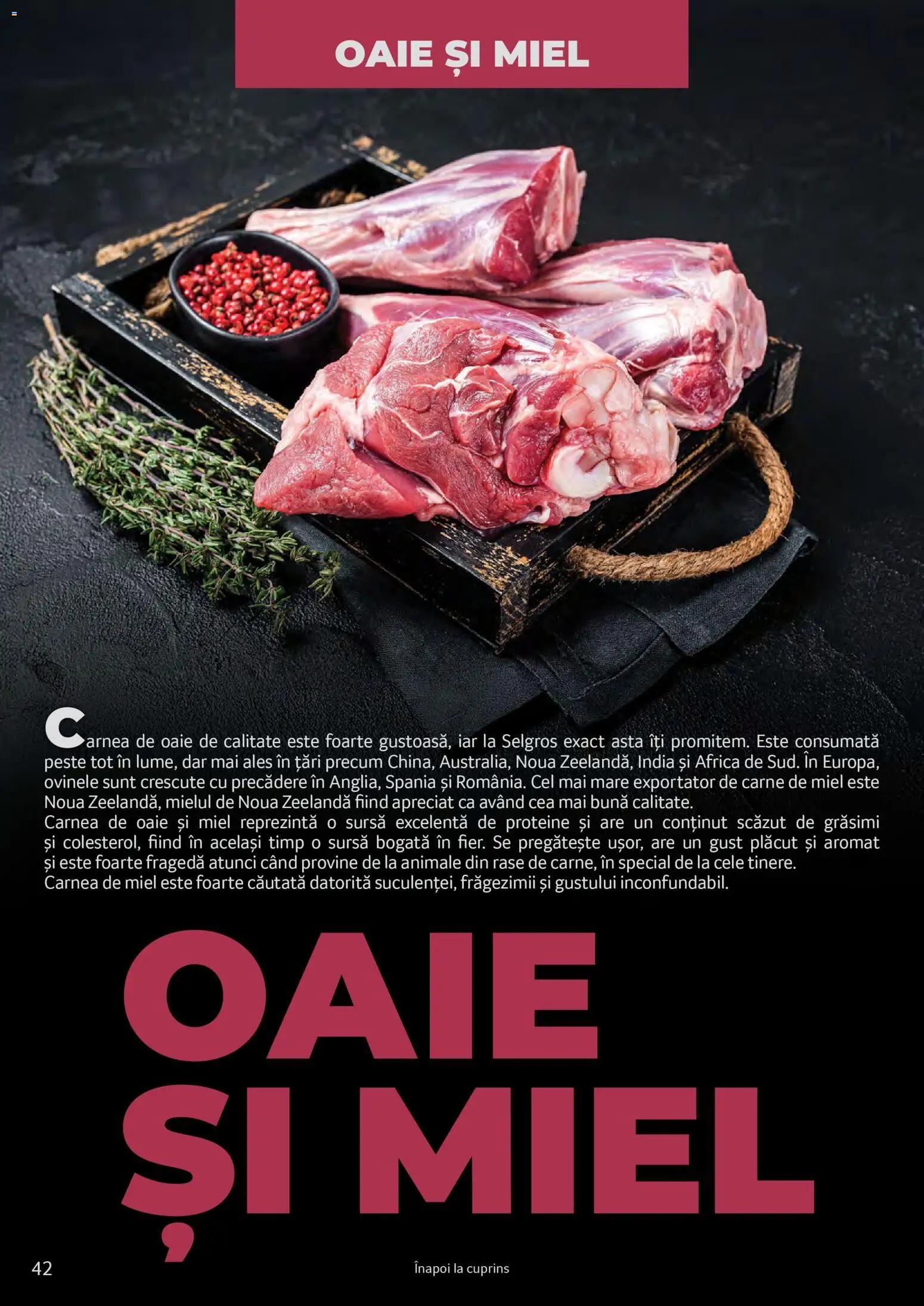 Noul catalog Selgros – valabil de la 25.03.2026 | Pagină: 42 | Produse: Masaüstü kılıfı, Pește