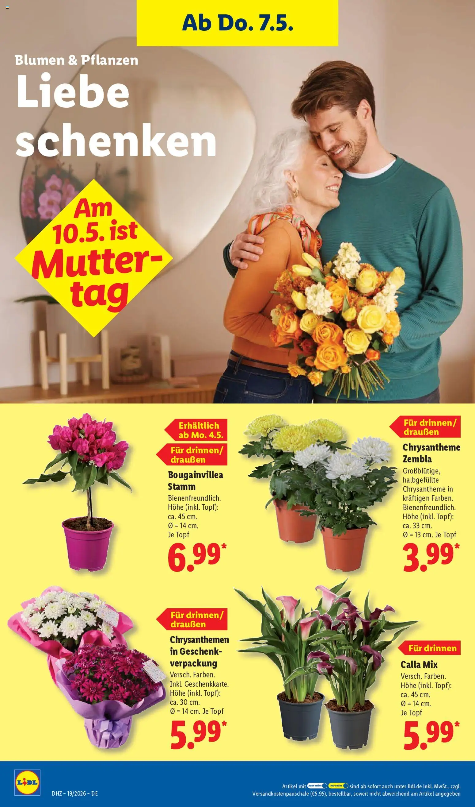 Lidl Prospekt – gültig ab 04.05.2026 | Seite: 12 | Produkte: Blumen