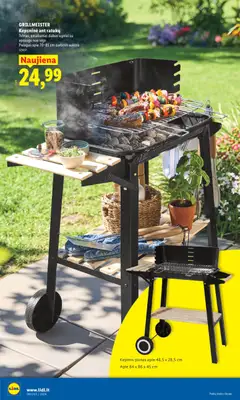 LIDL leidinys galioja nuo 2026.04.06 | Puslapis: 30