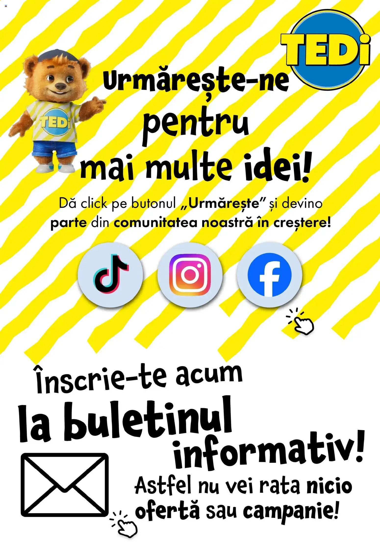 Noul catalog TEDi – valabil de la 29.03.2026 | Pagină: 11 | Produse: Rață
